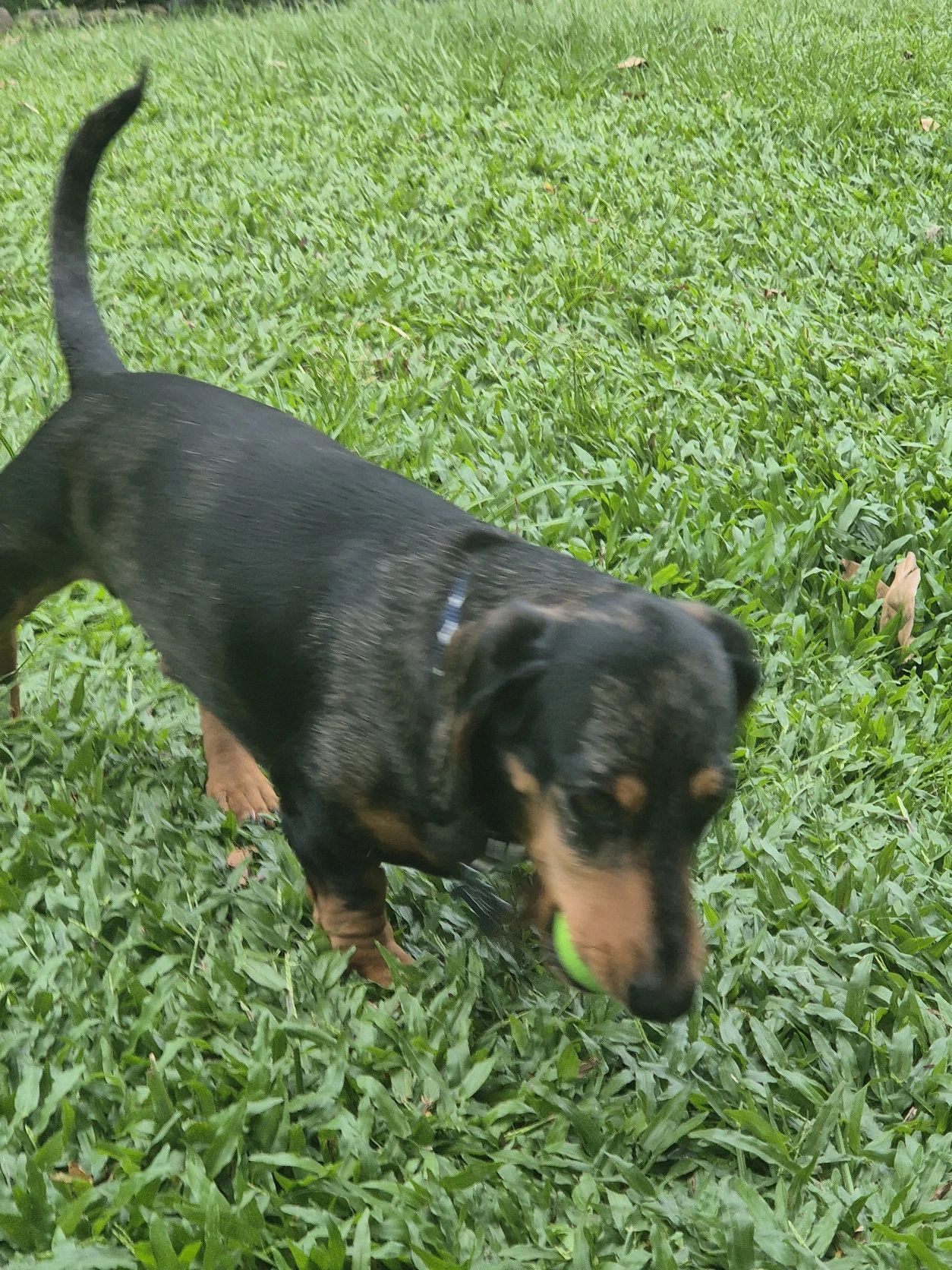 image-4