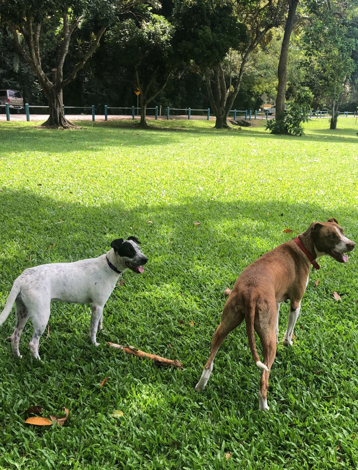 image-13