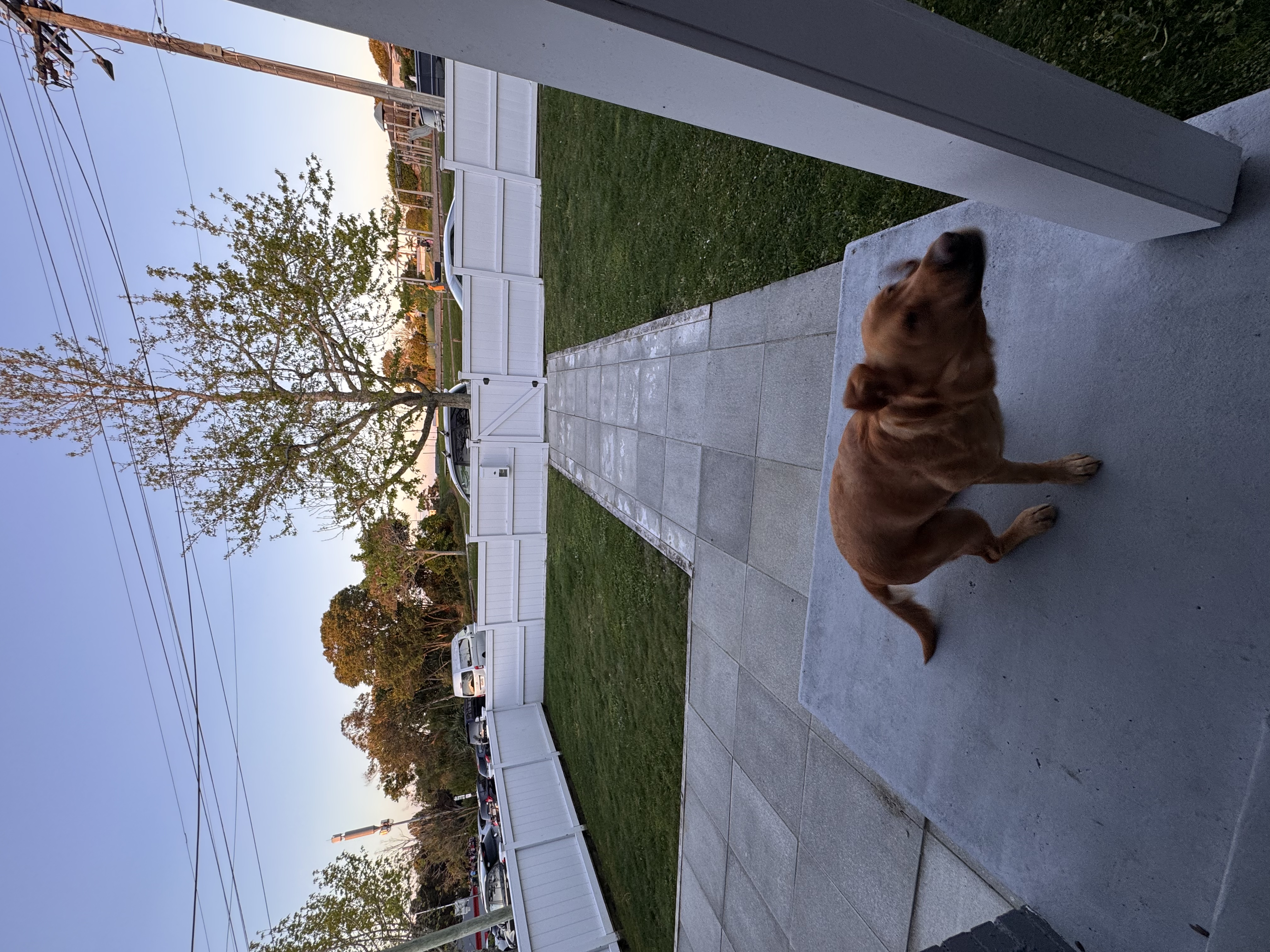 image-18