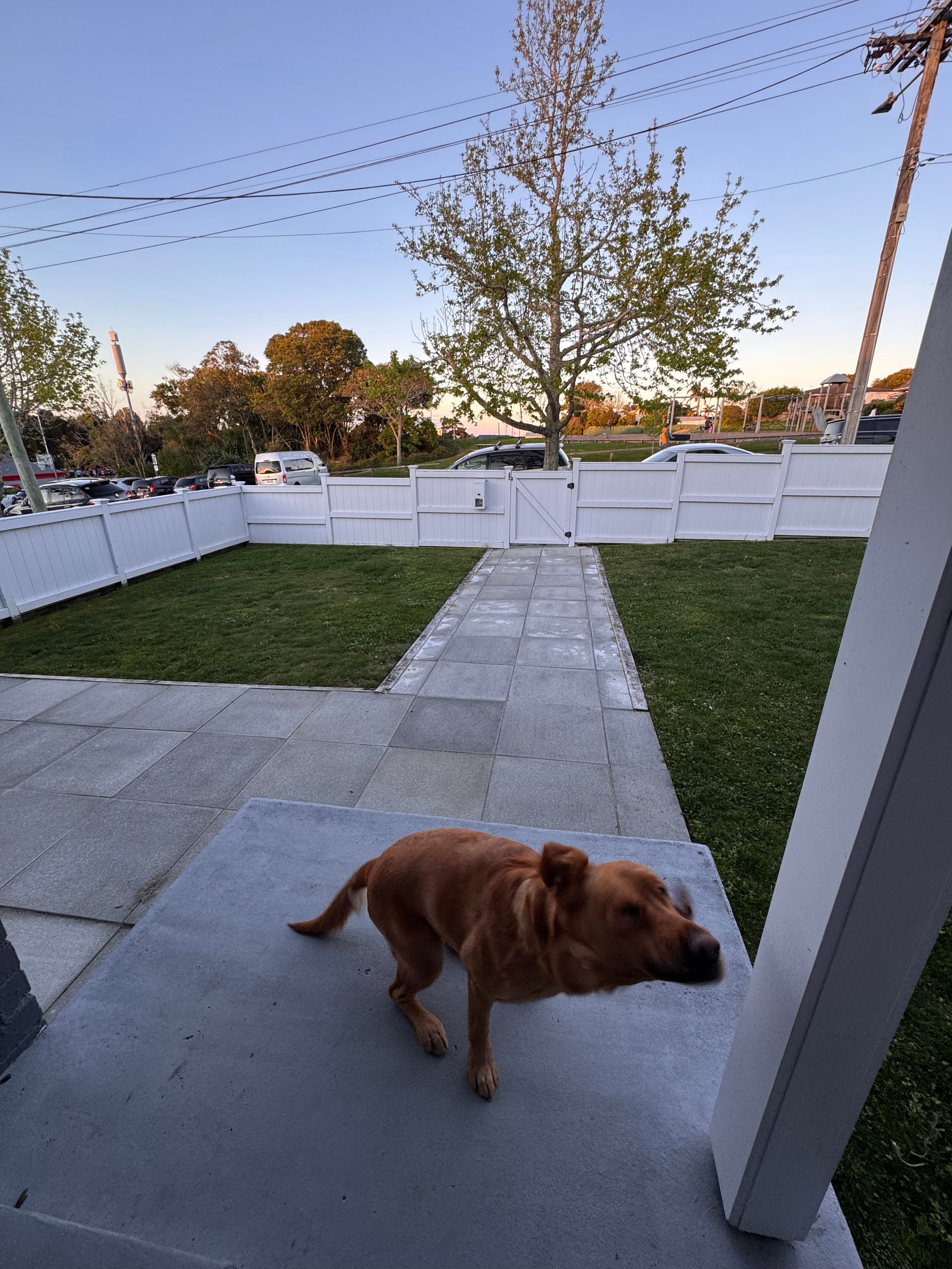 image-18