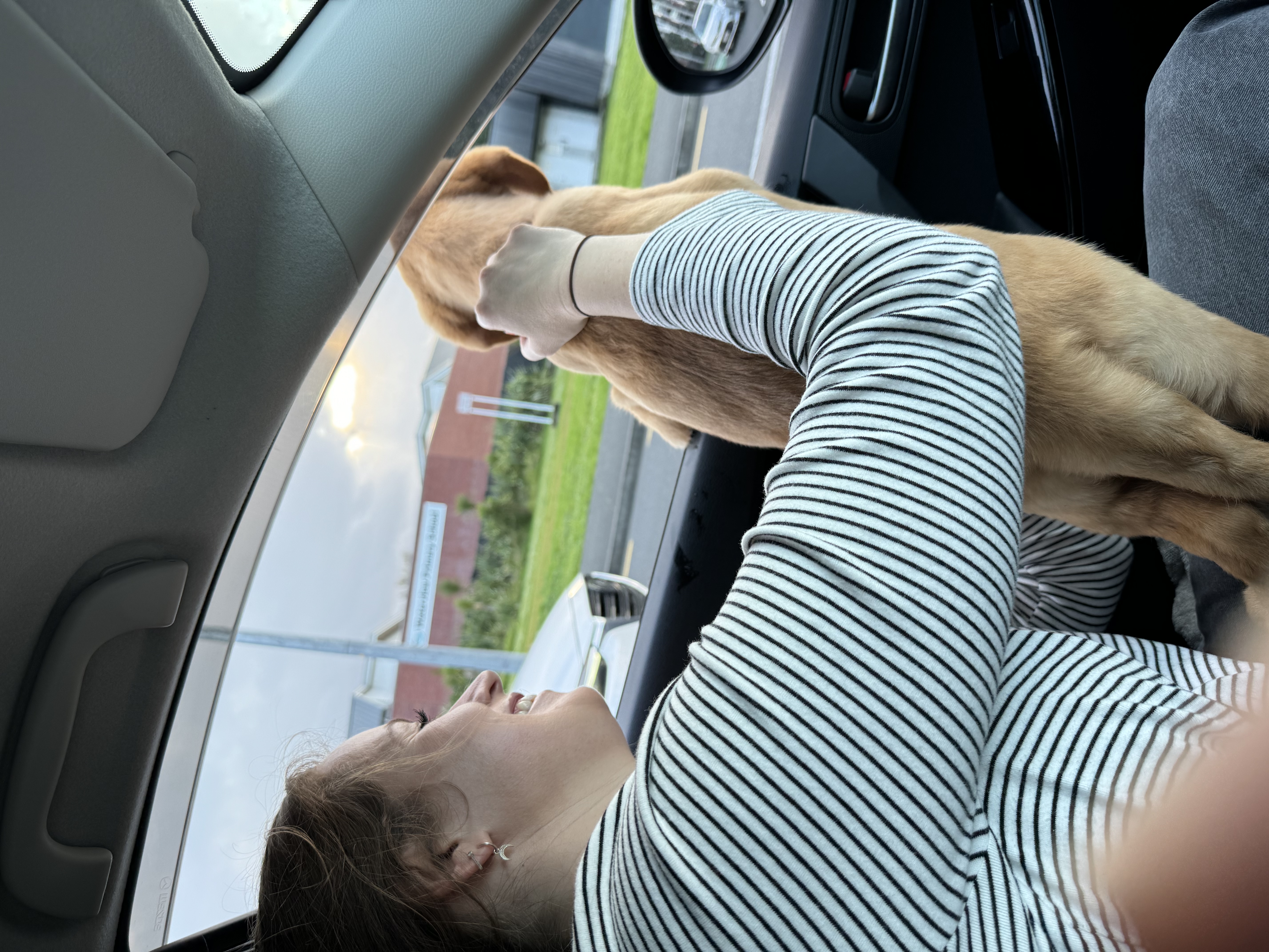 image-10