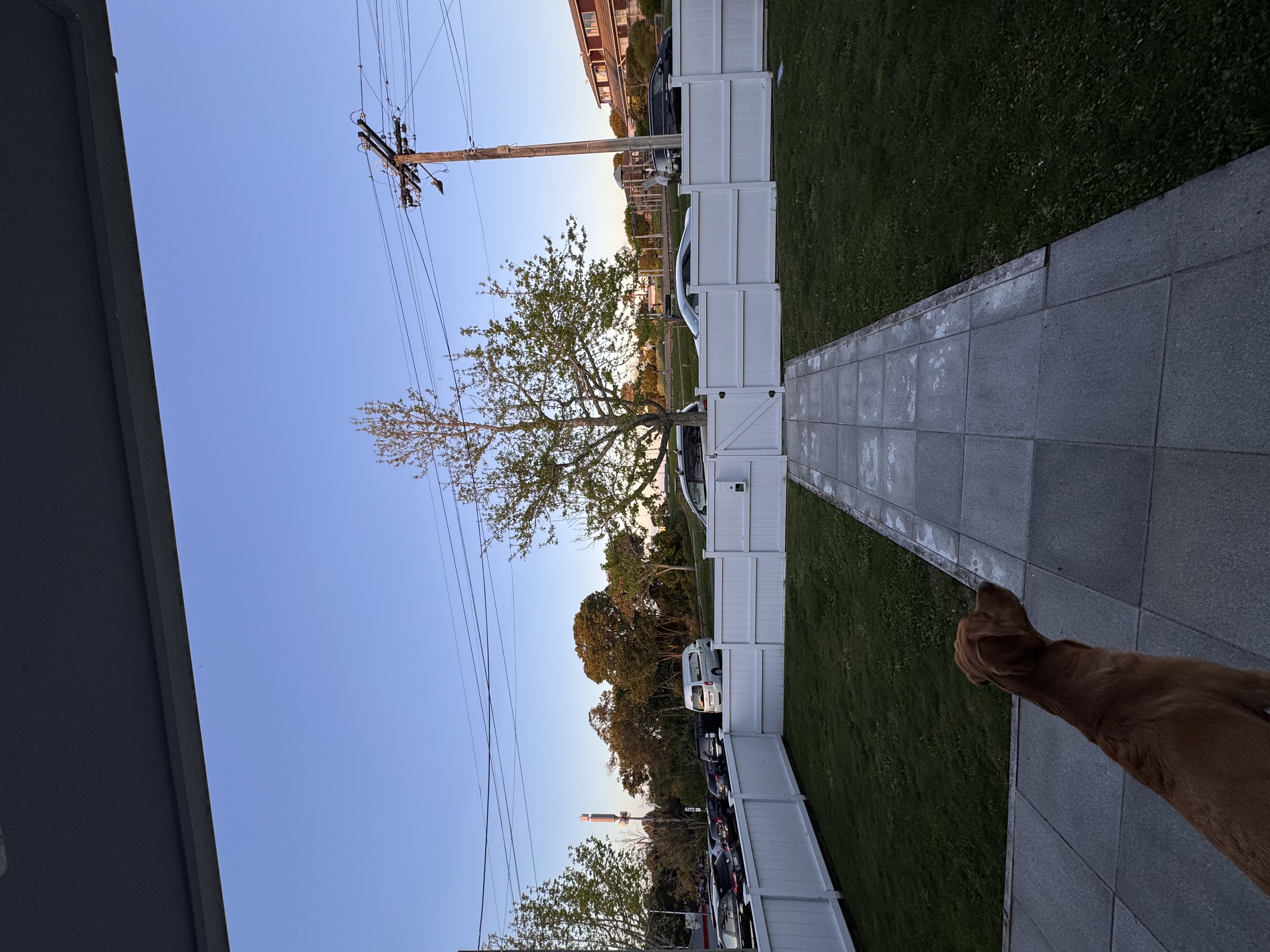 image-20