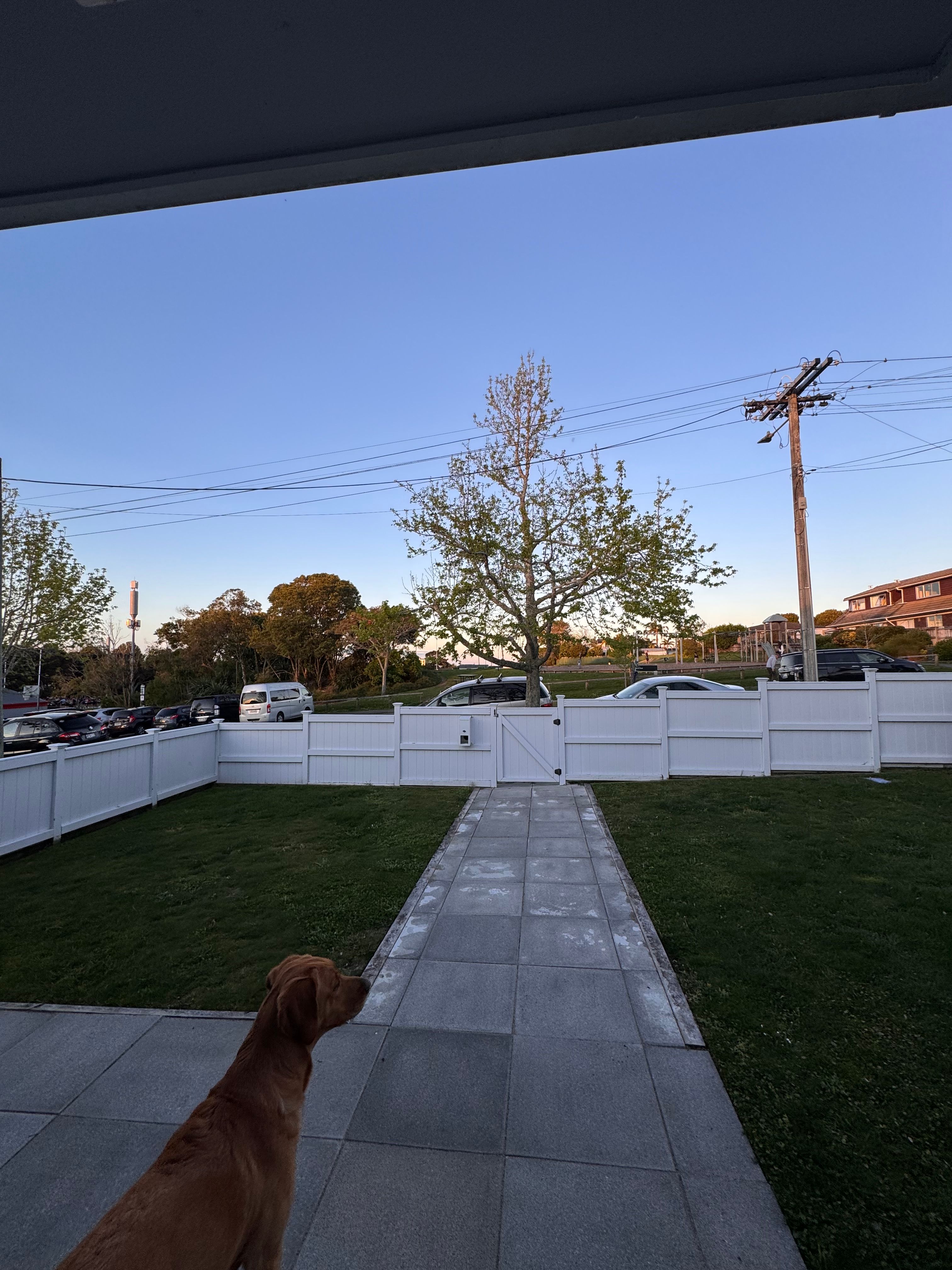 image-20