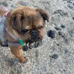 Narla