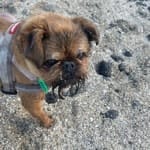 Narla