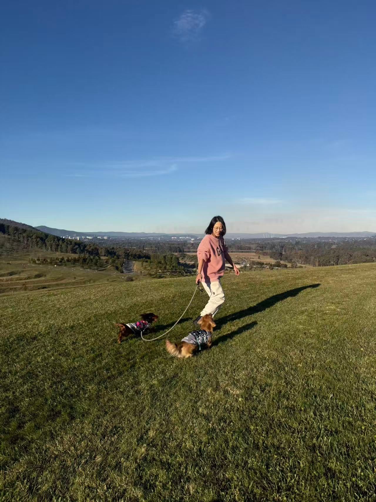 image-10