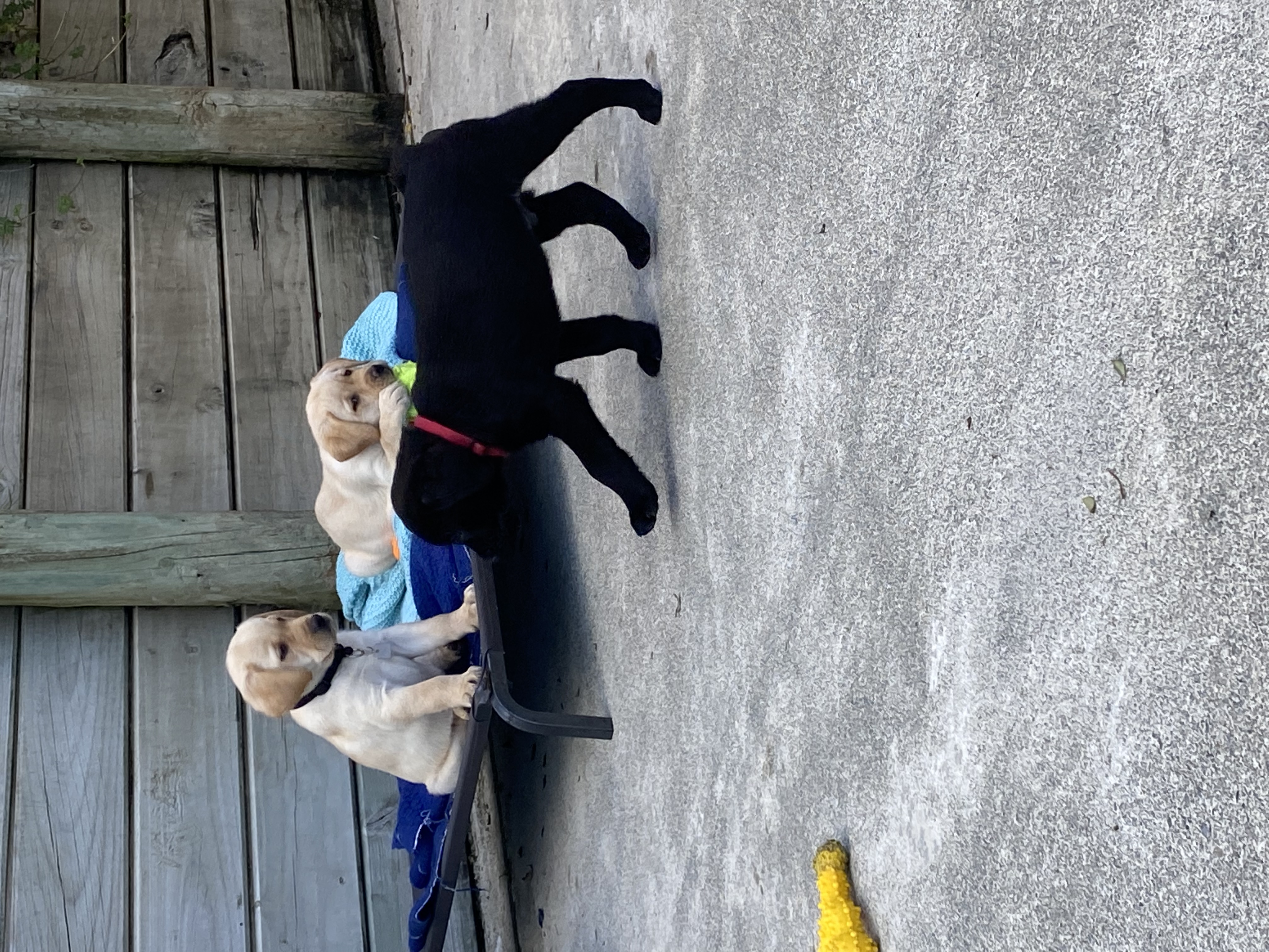 image-8