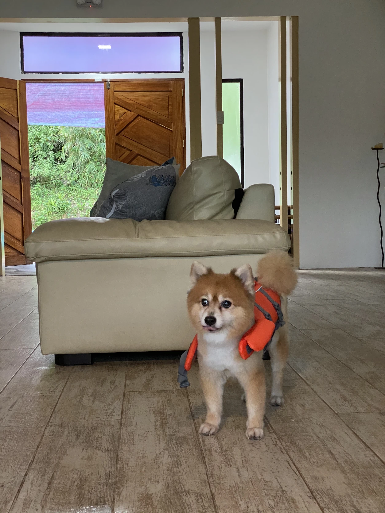 image-11