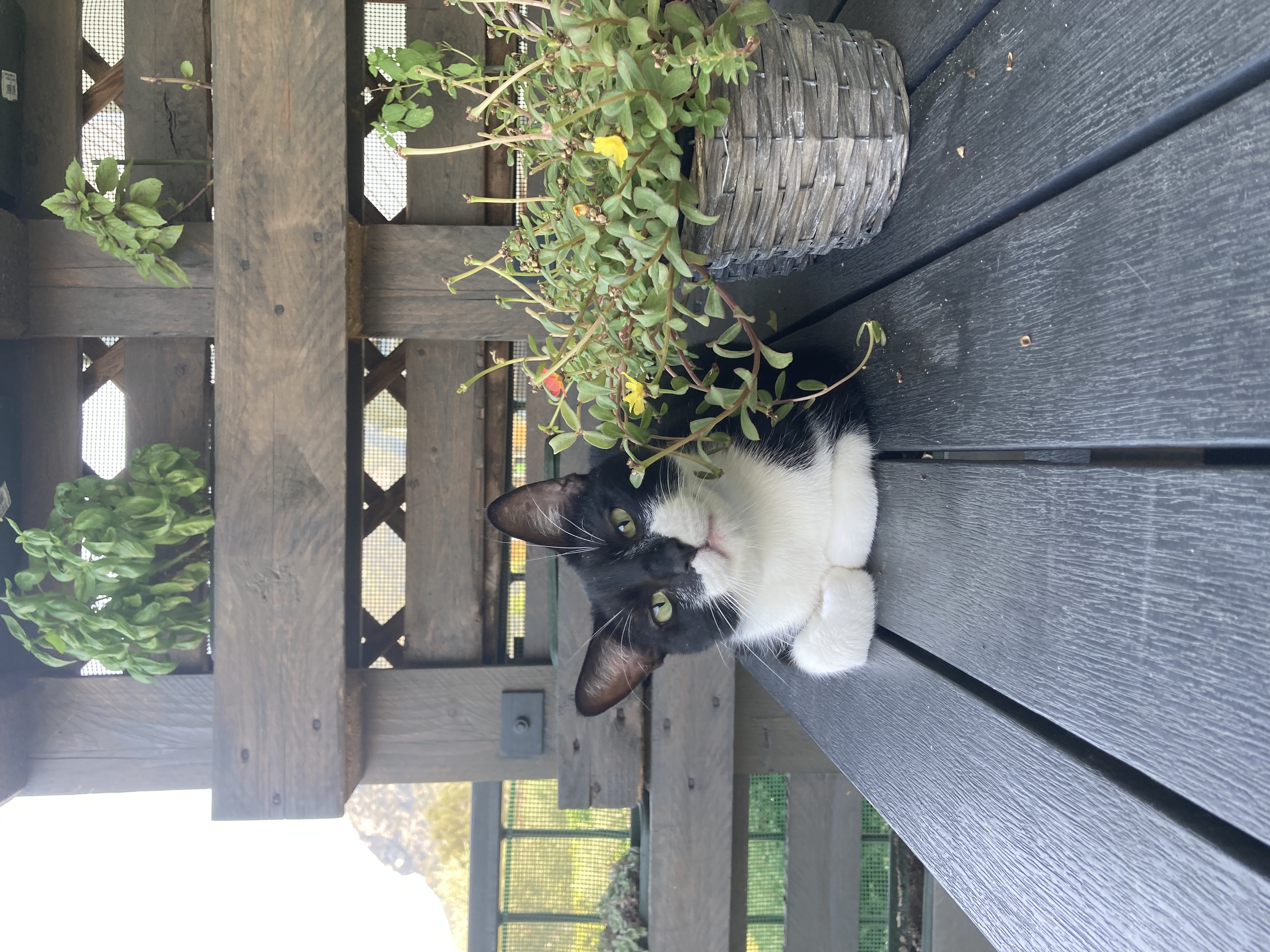 image-11