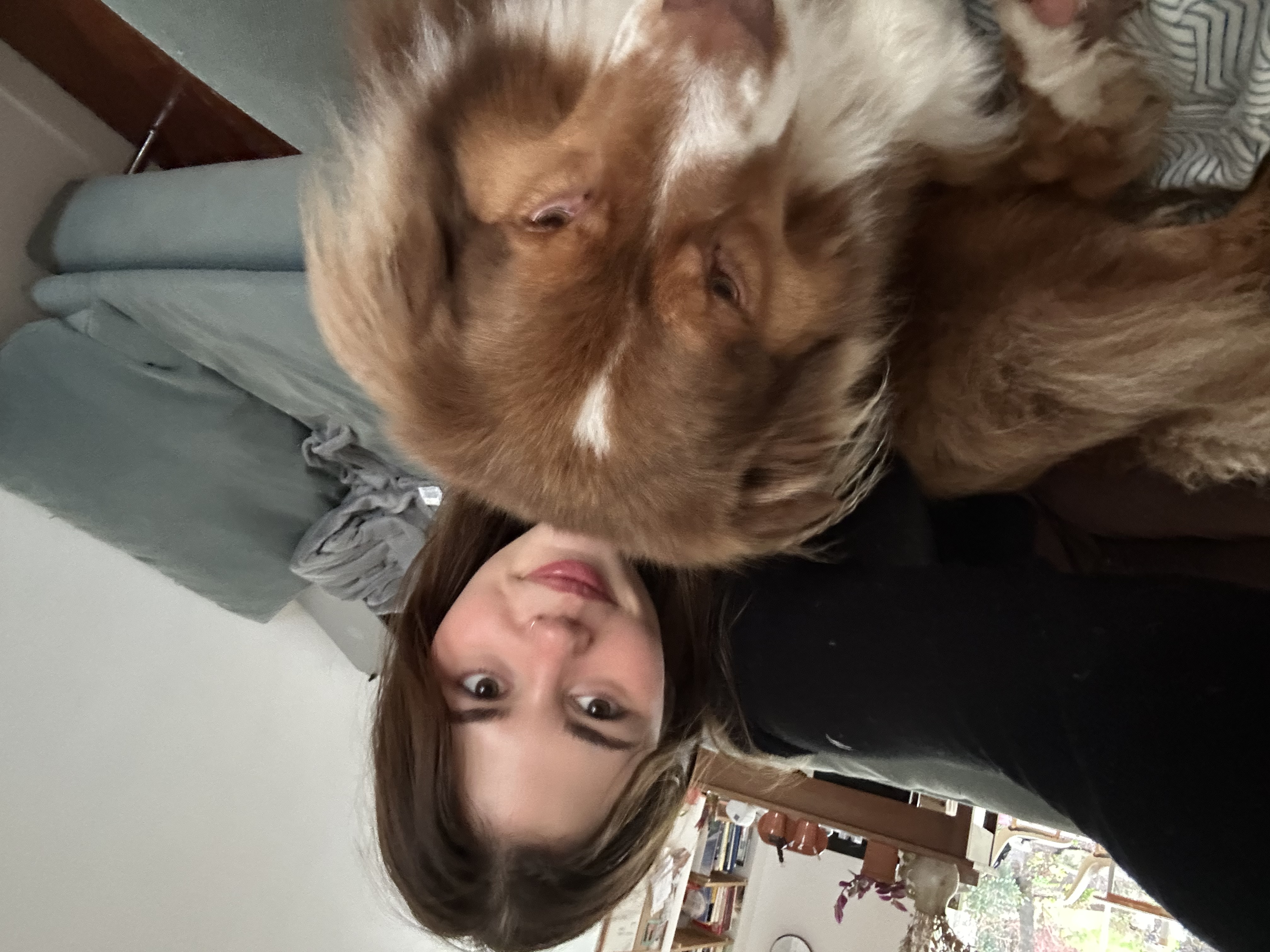 image-6