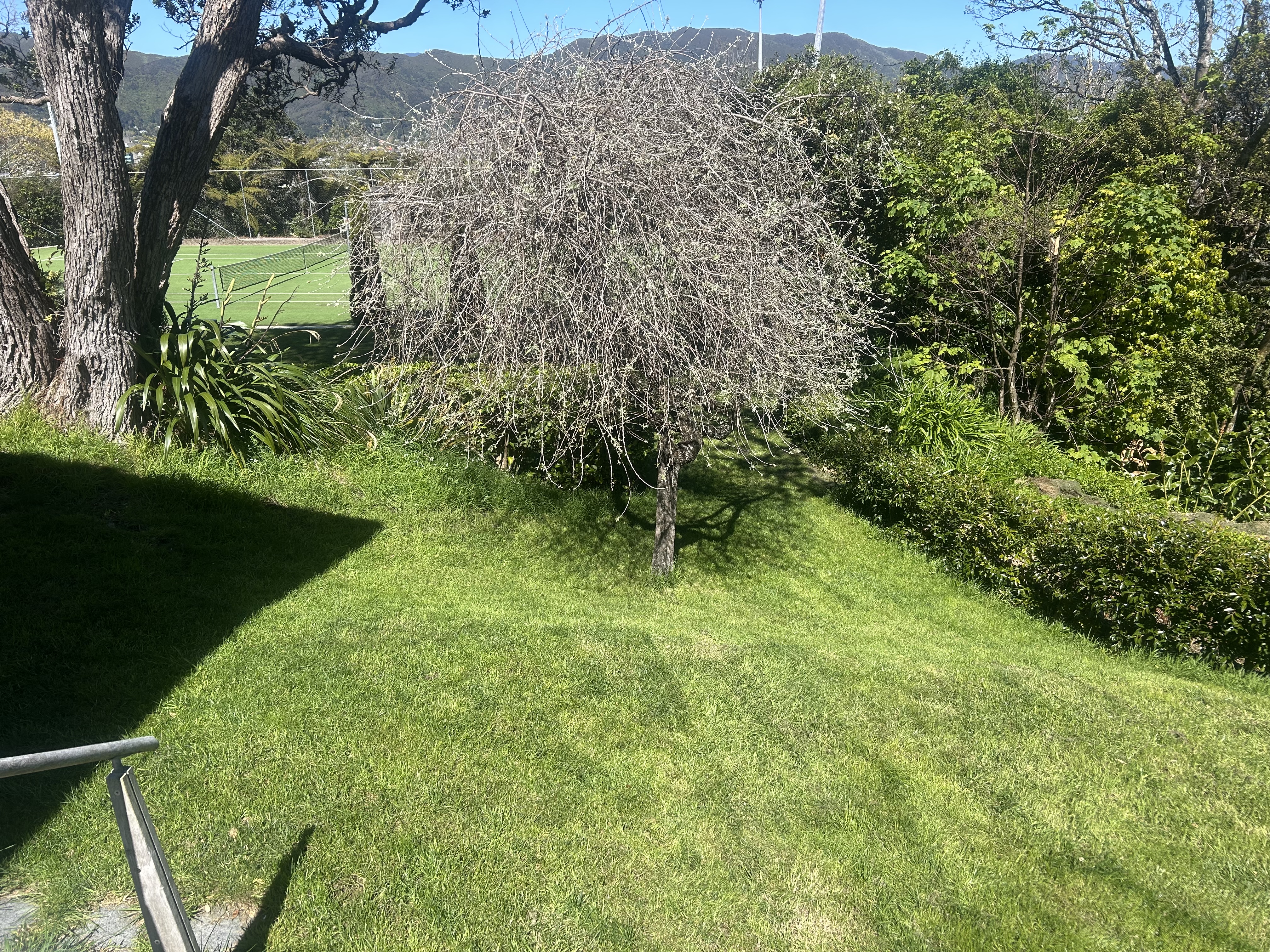 image-7