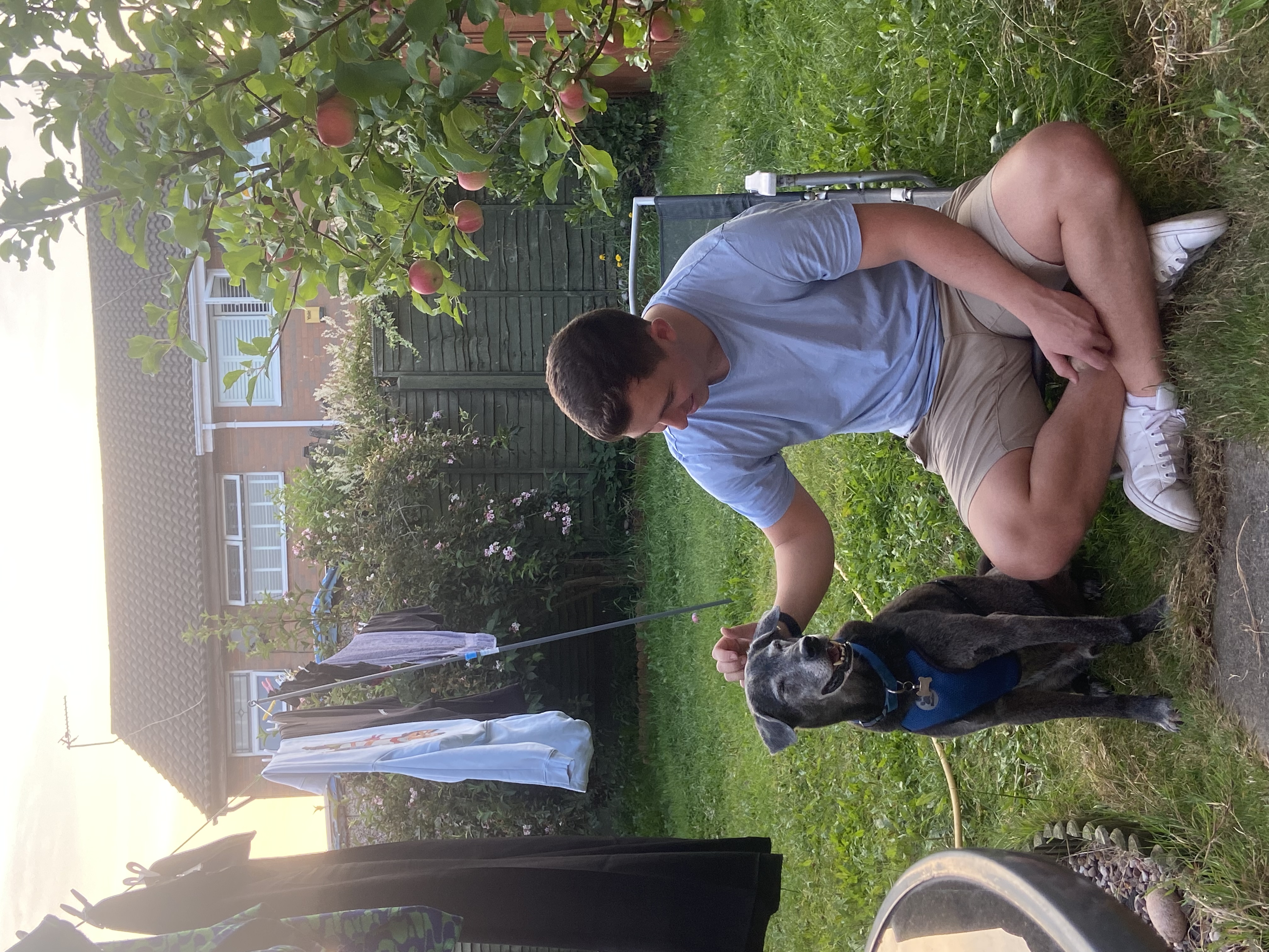 image-3