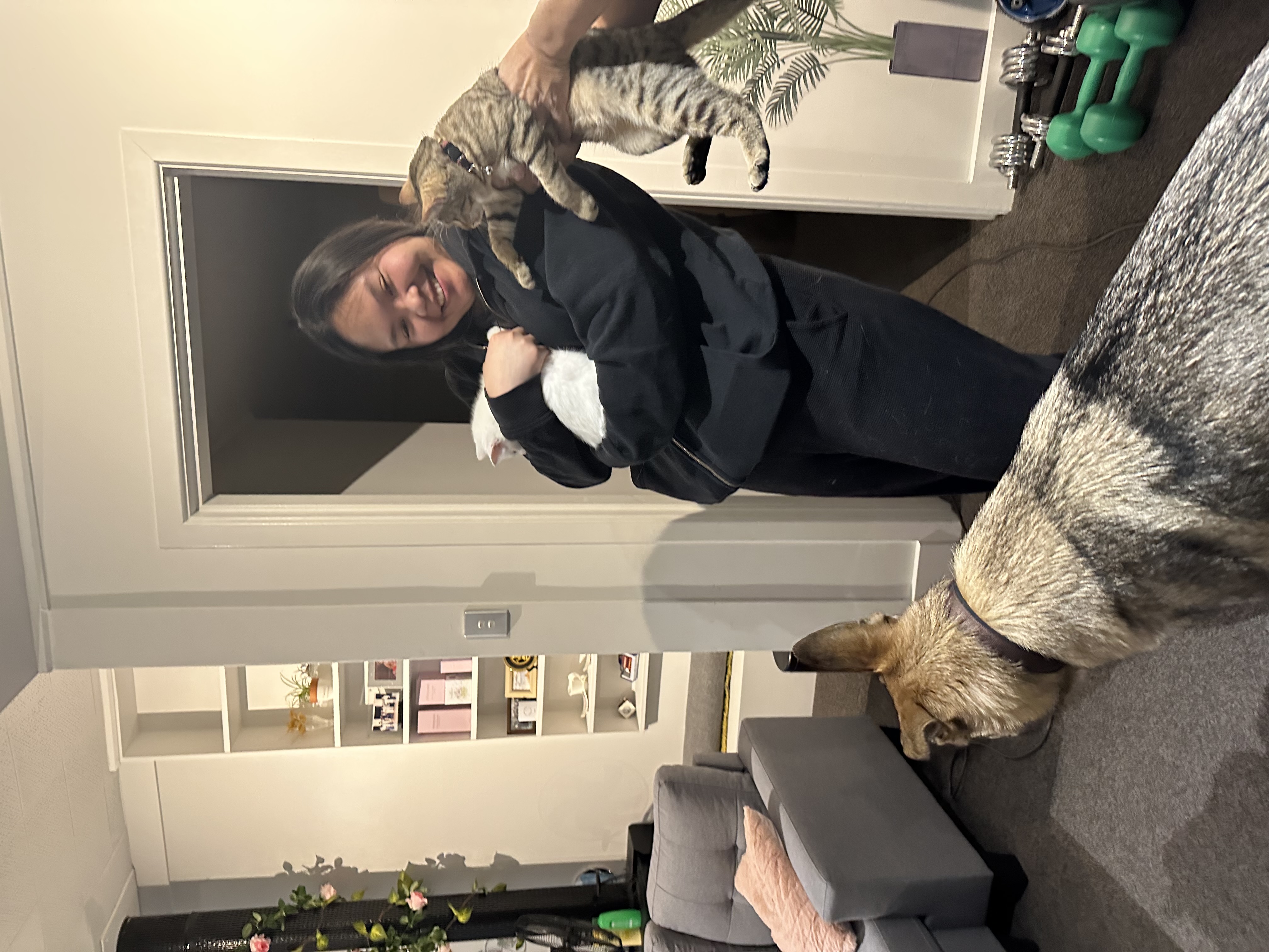 image-9