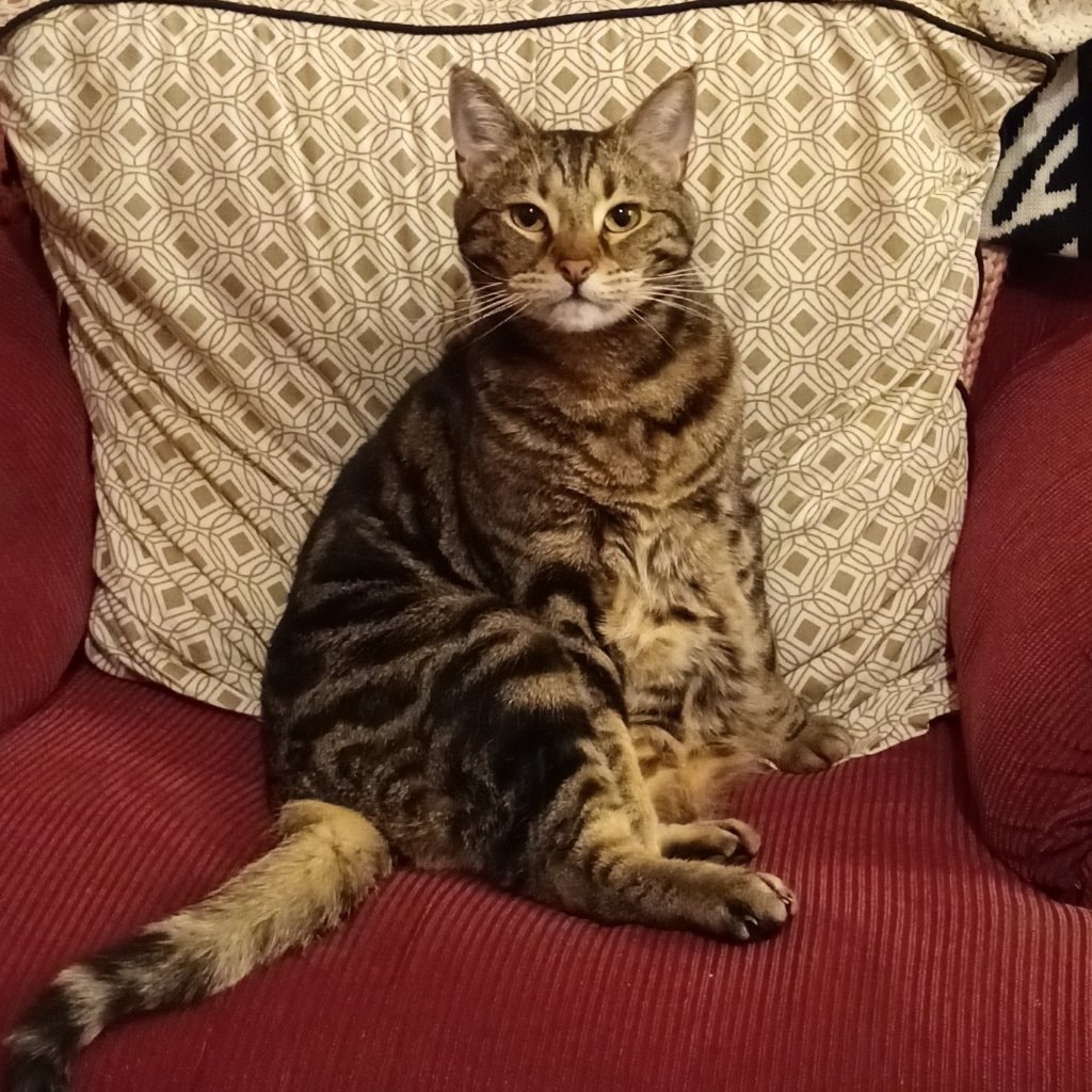 Larry (Laslo, Lazarus)