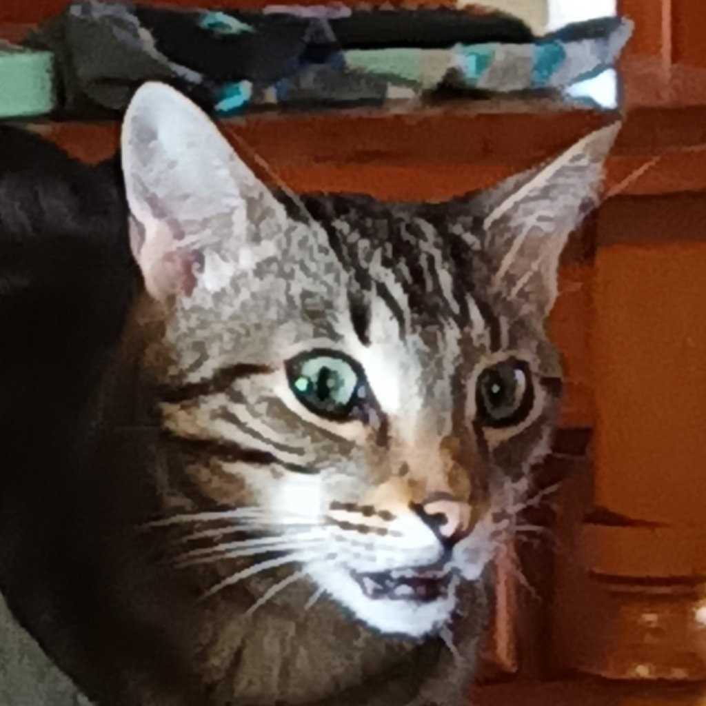 Toby (Toe-beanz, Toblerone)