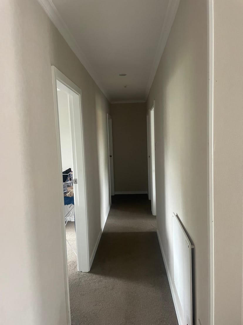 image-17