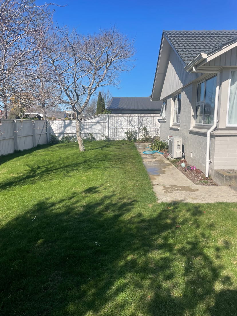 image-13
