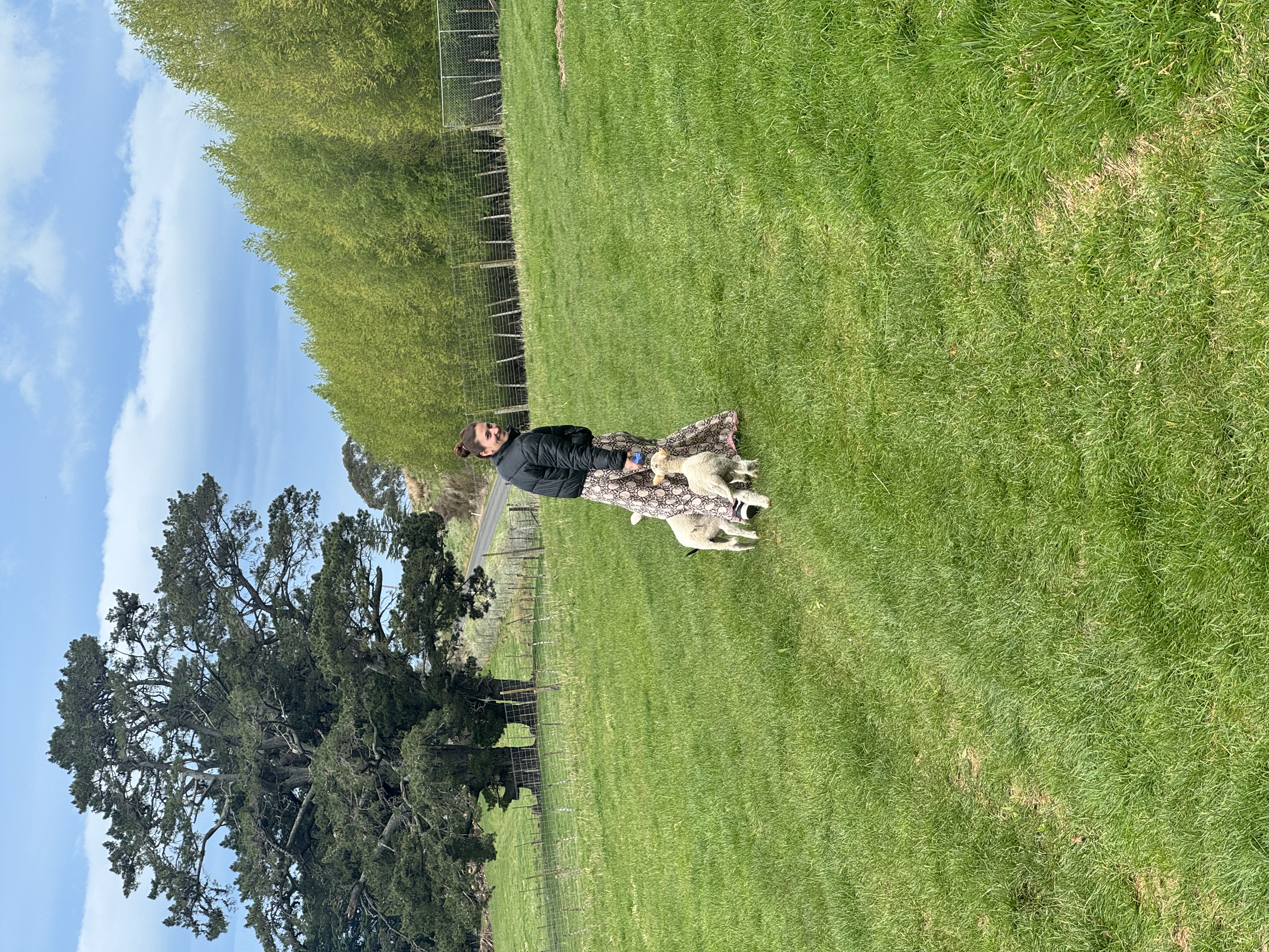 image-6