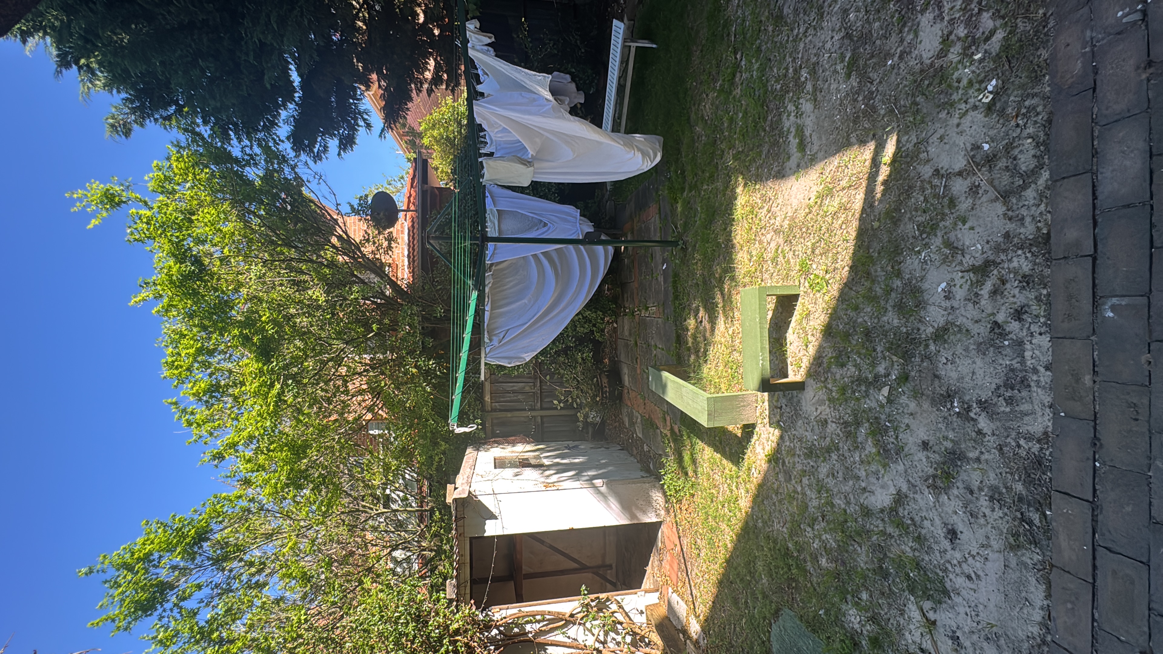 image-17