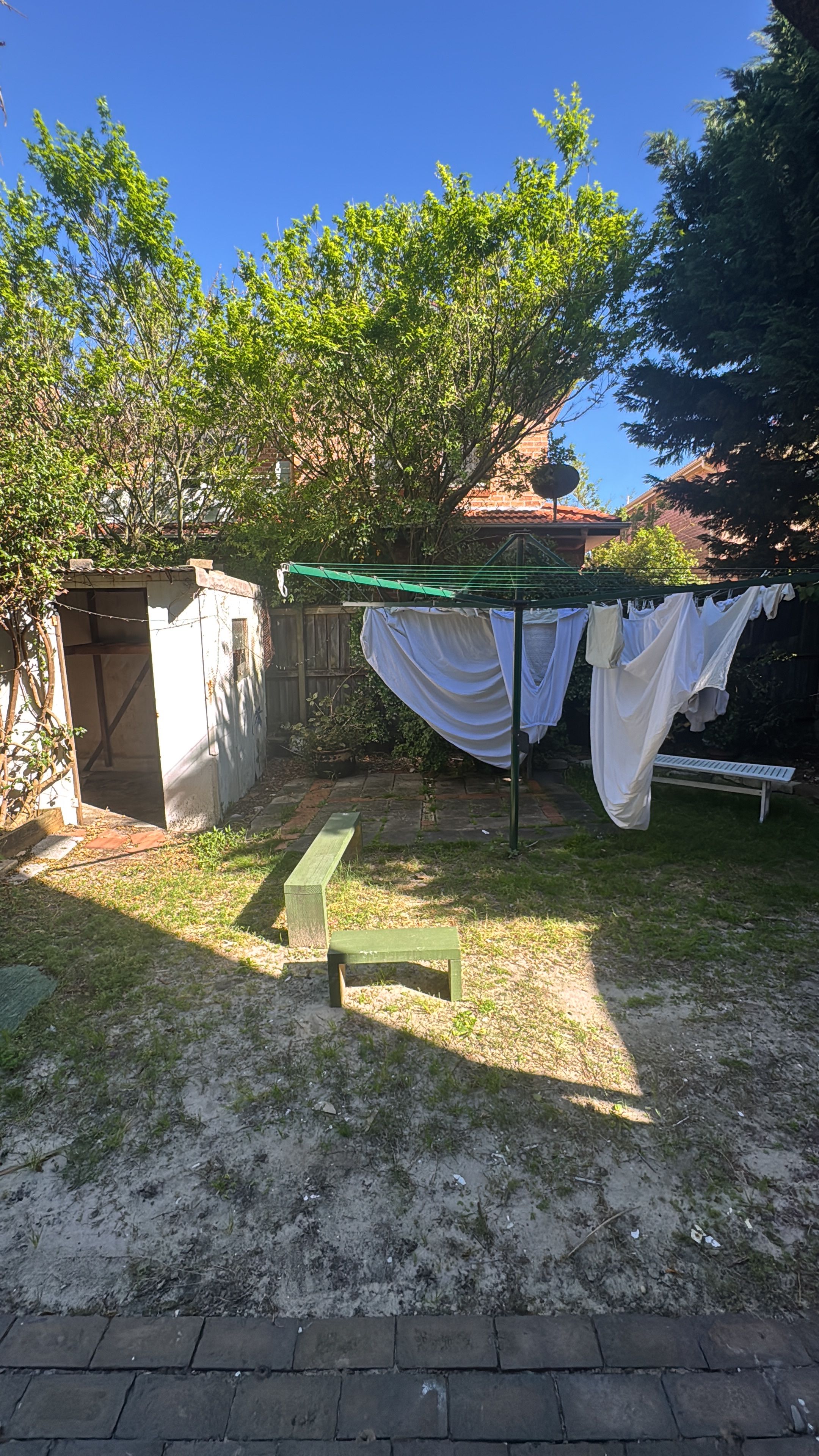 image-17