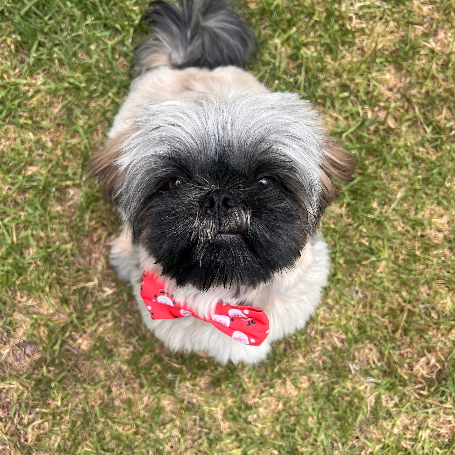 Obie