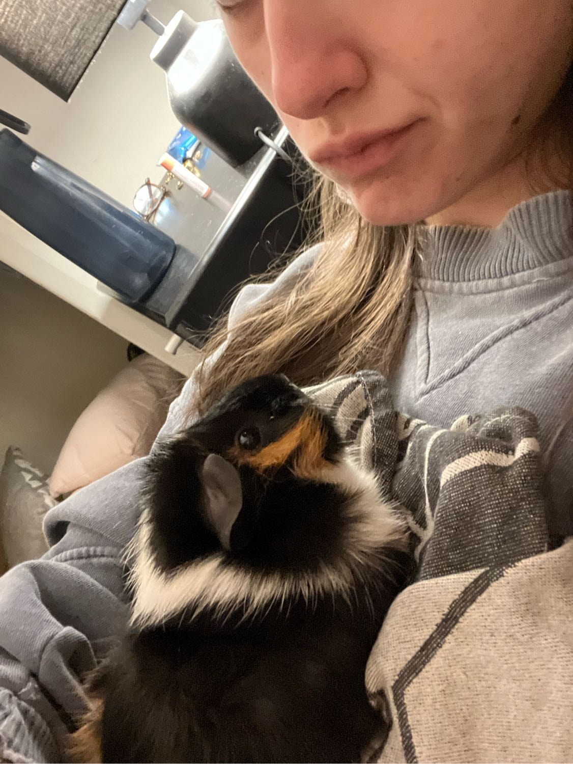 image-8