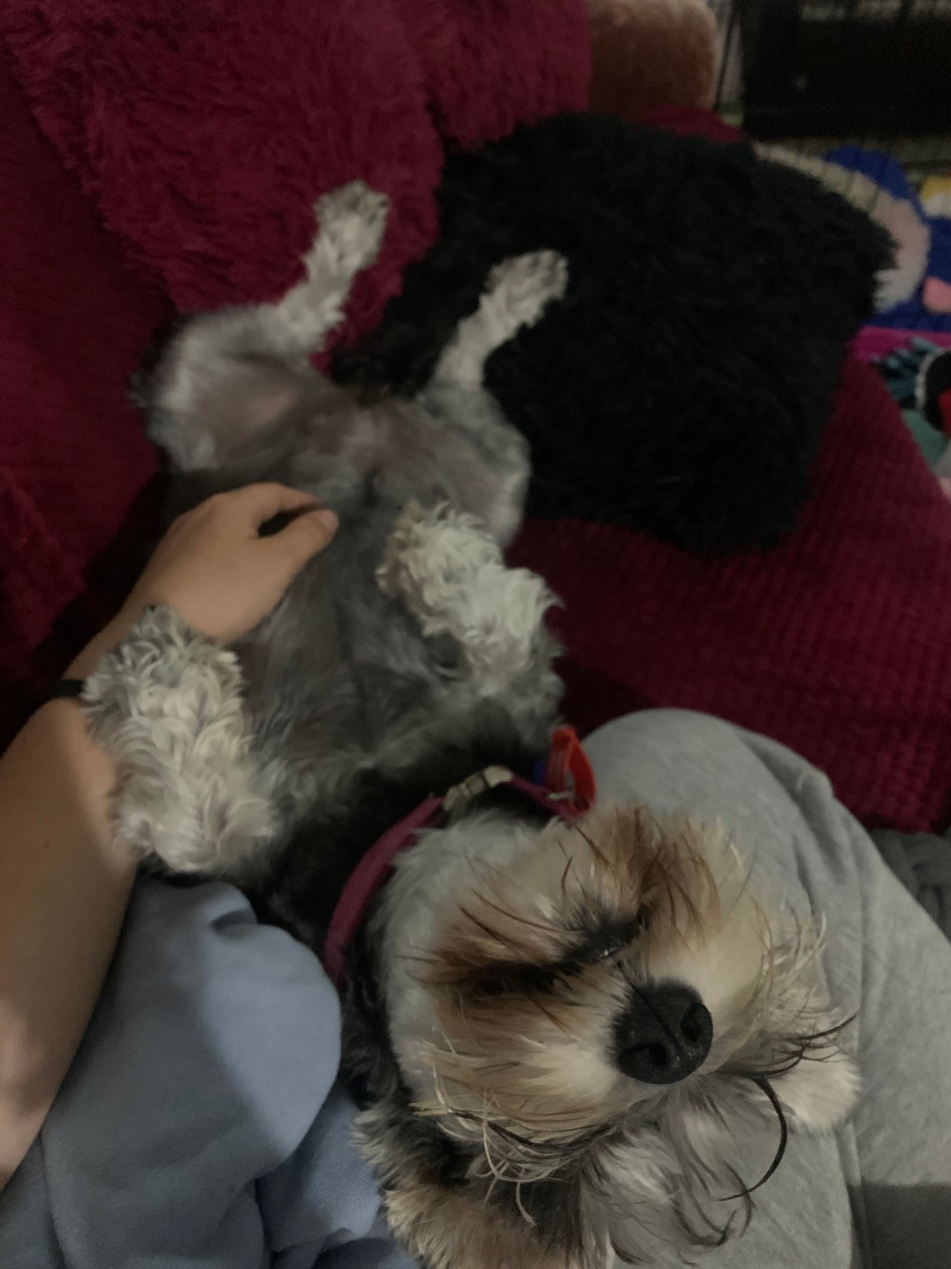 image-7