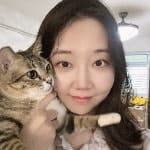 Jingfei
