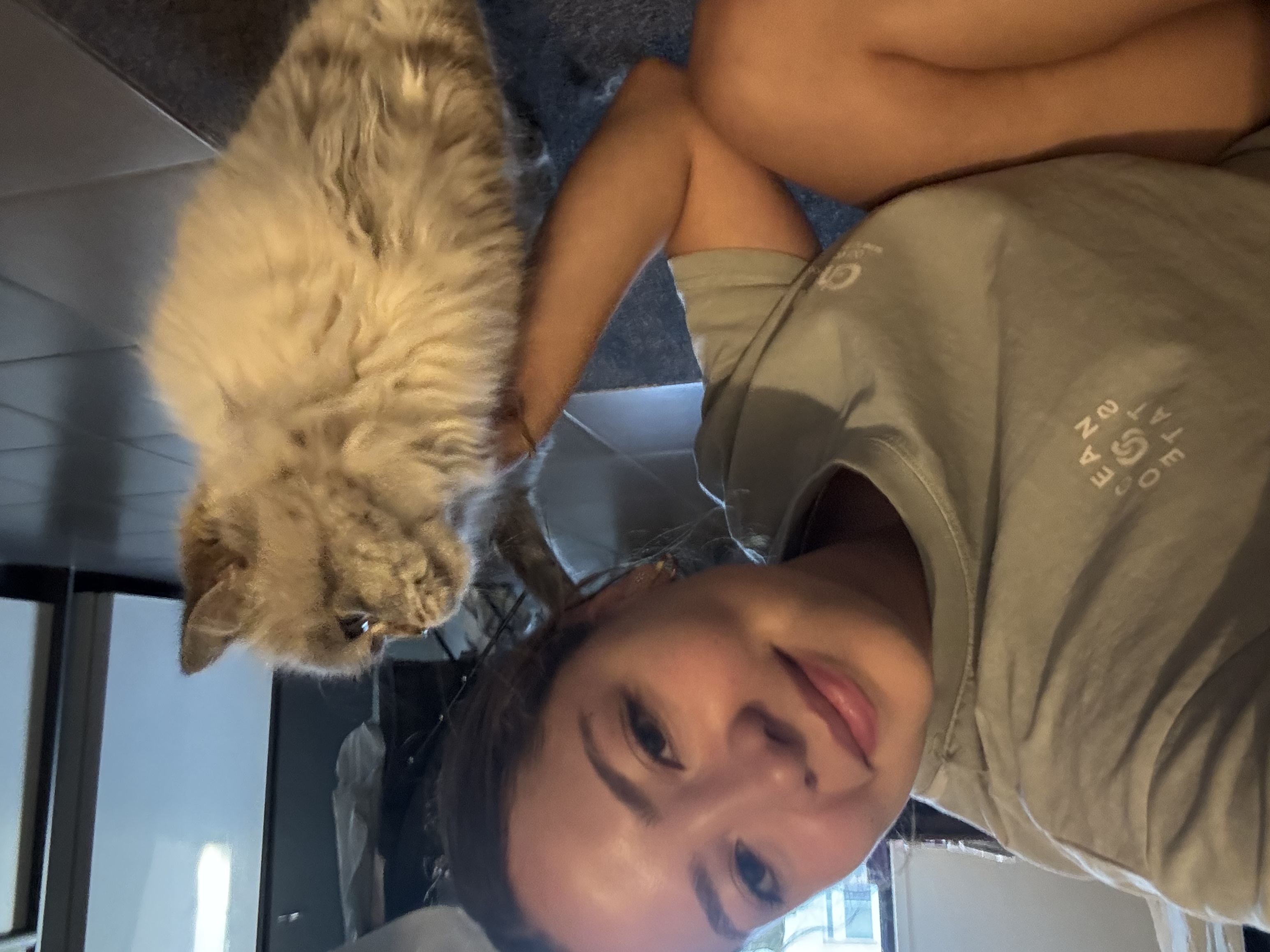 image-7