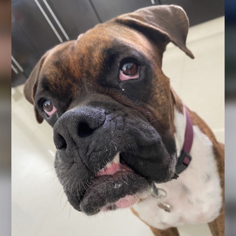 Tyson