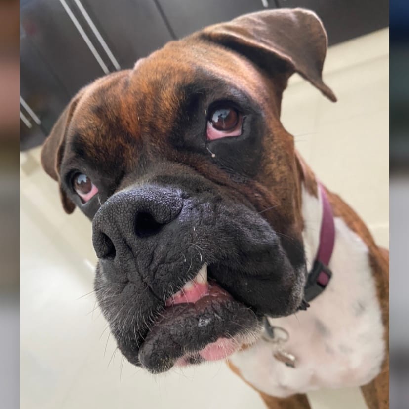 Tyson