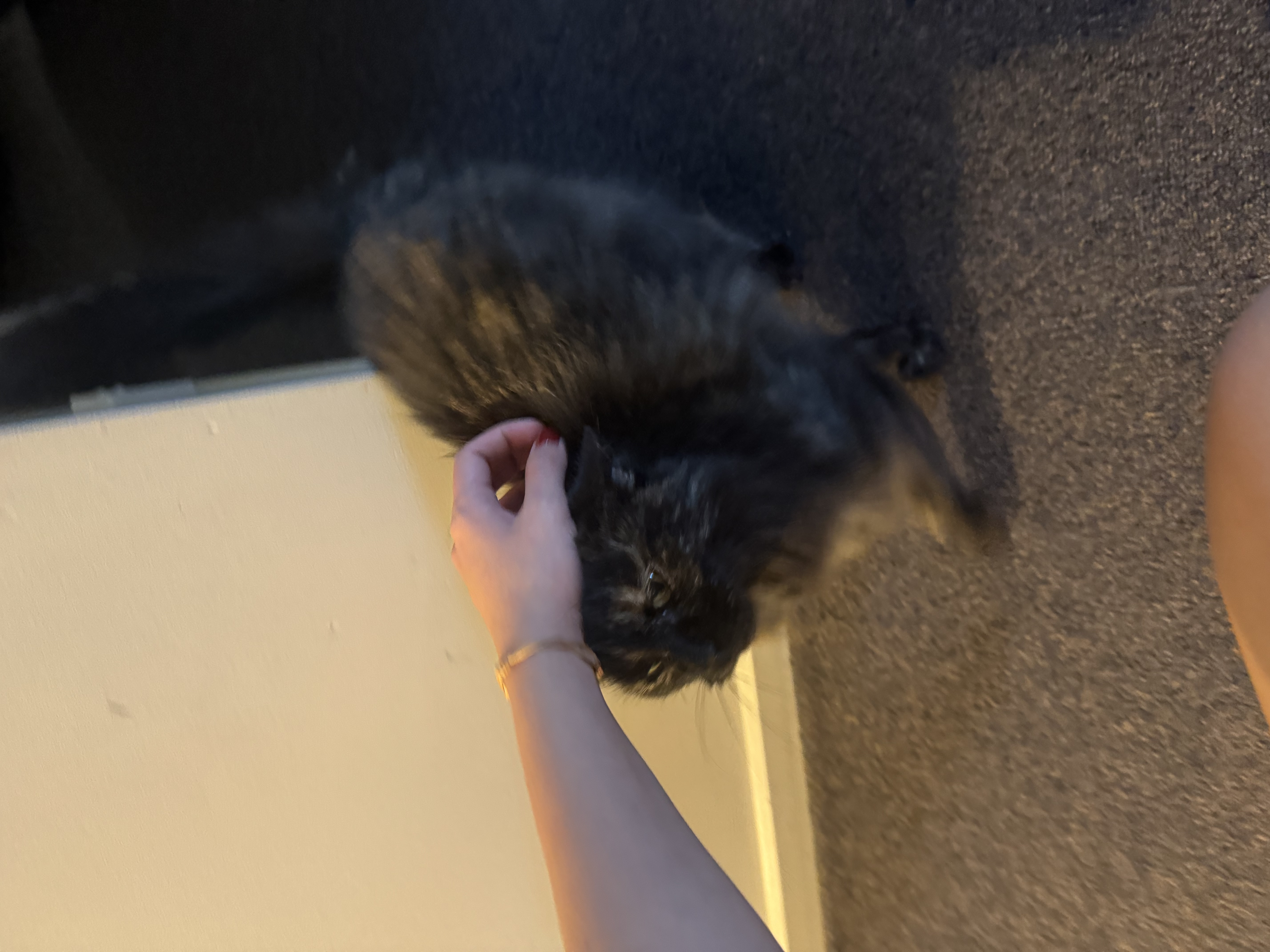 image-8