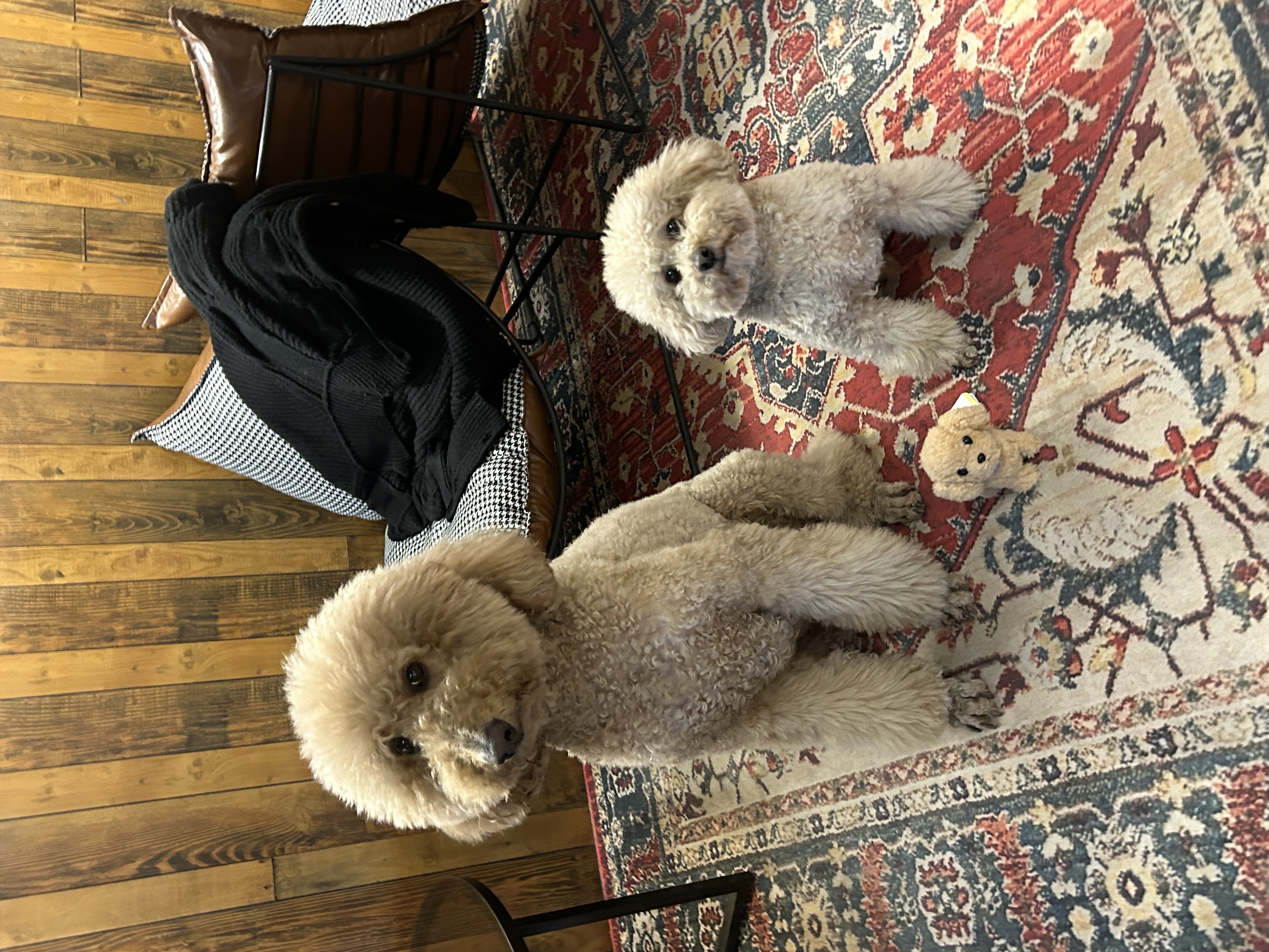 image-16