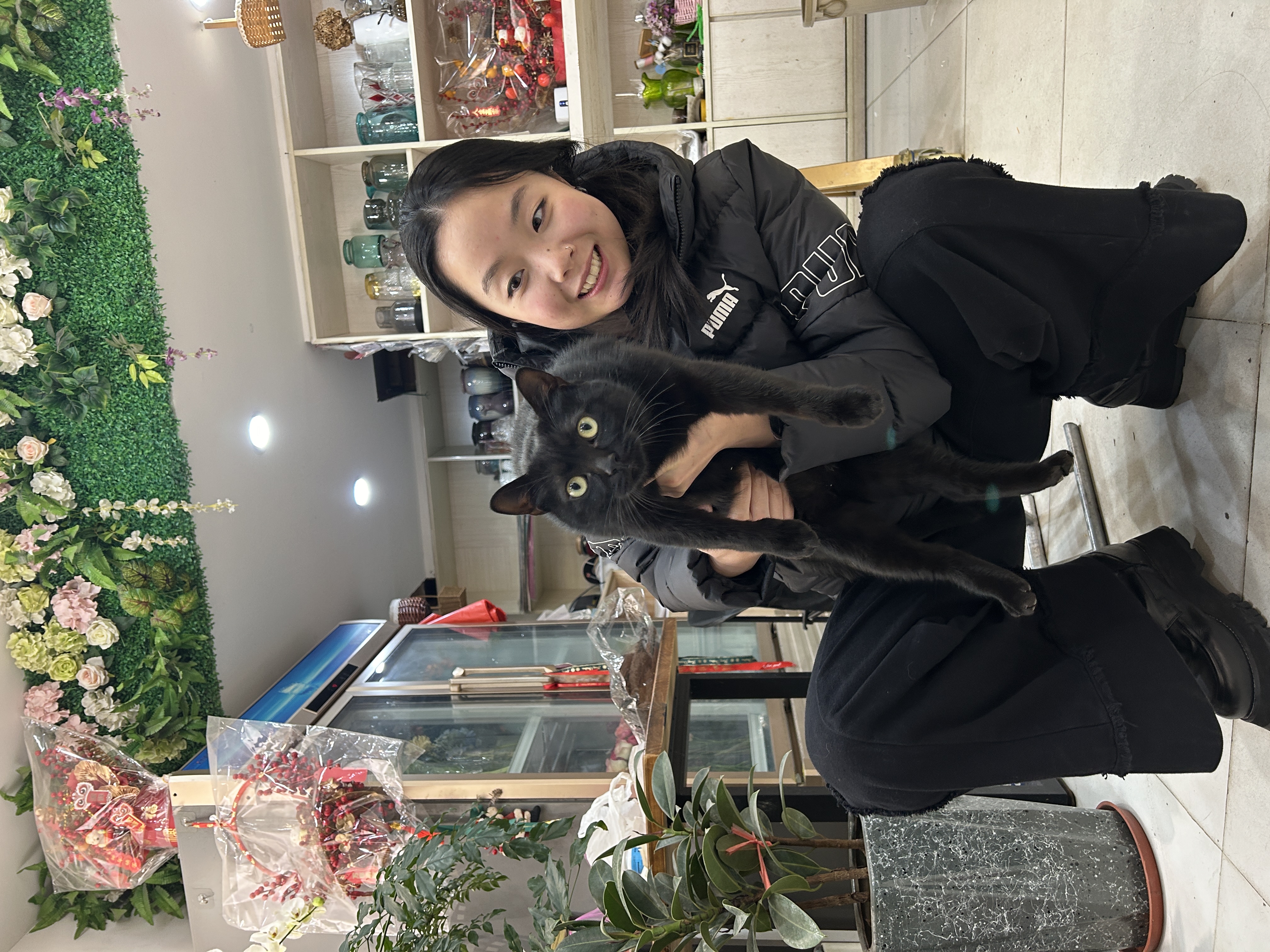 image-5