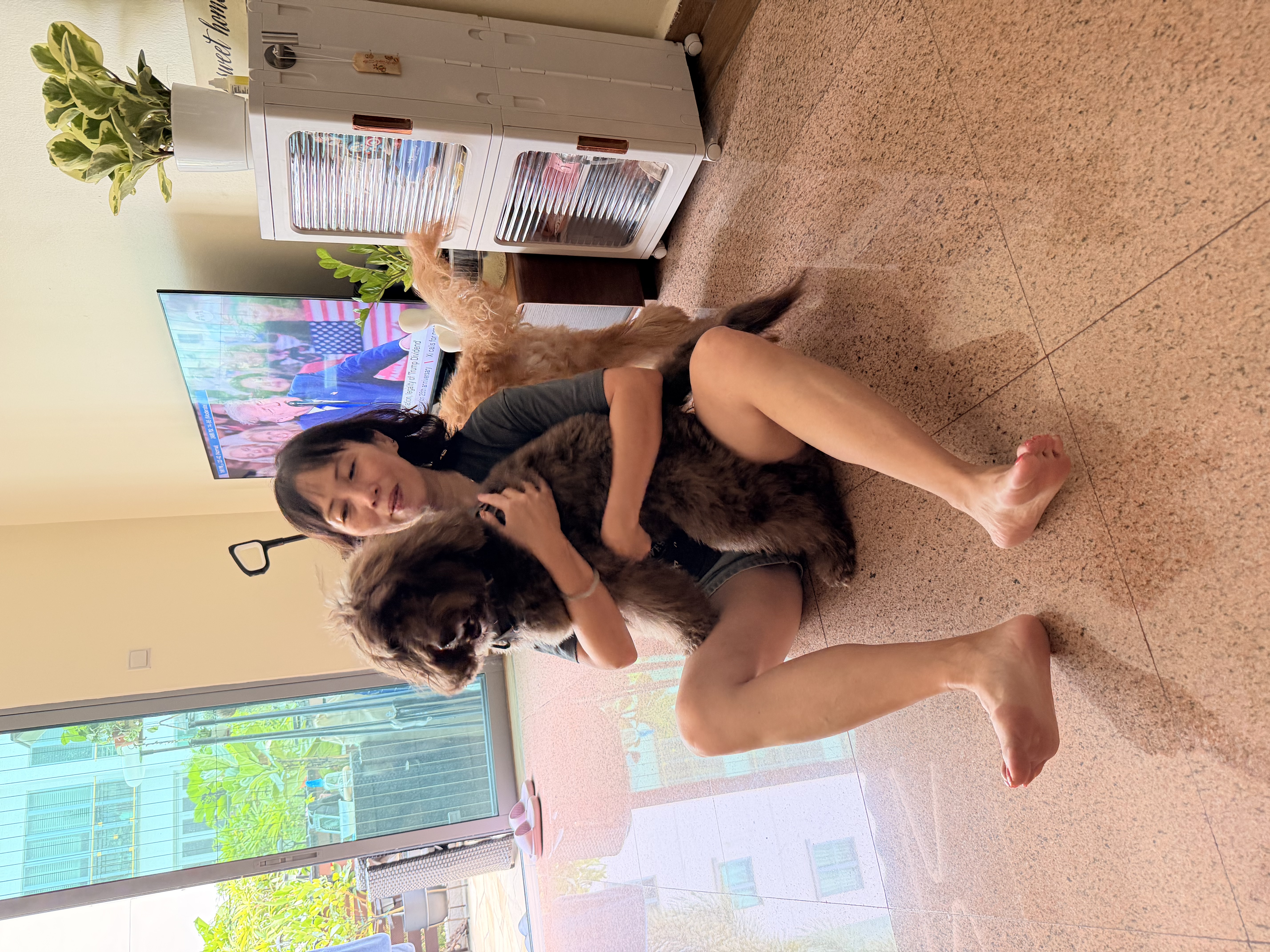 image-10