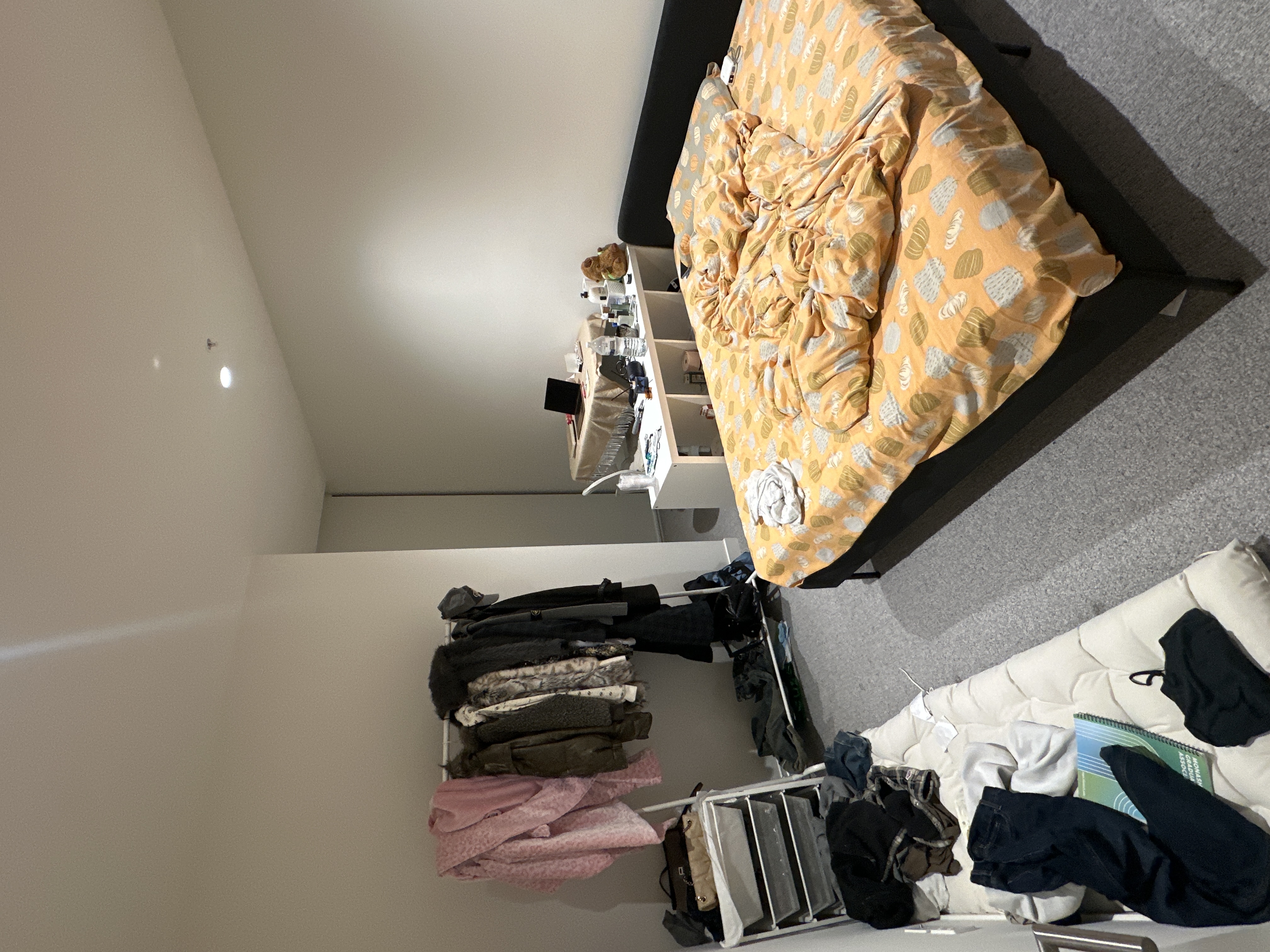 image-19