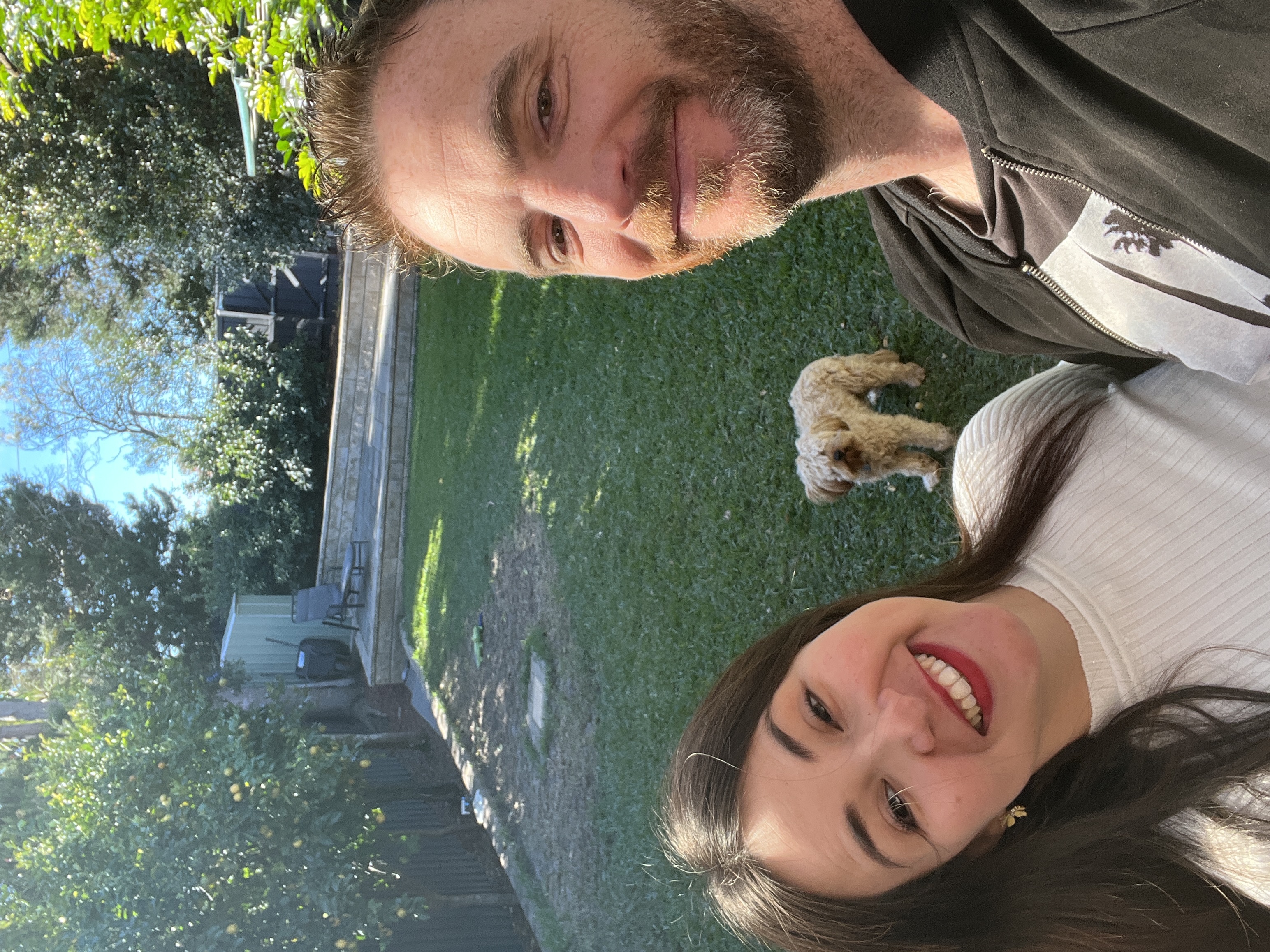 image-12