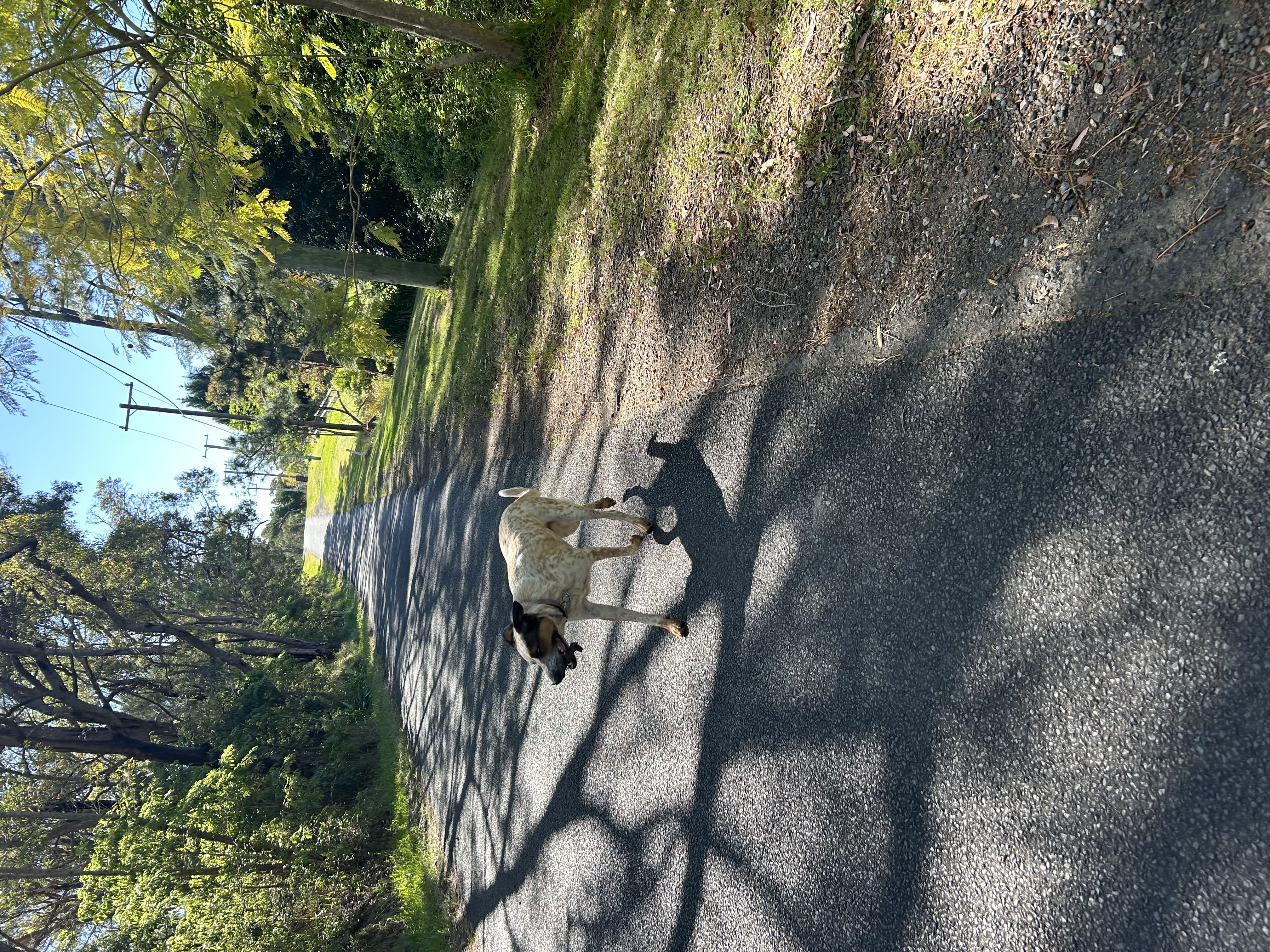 image-3