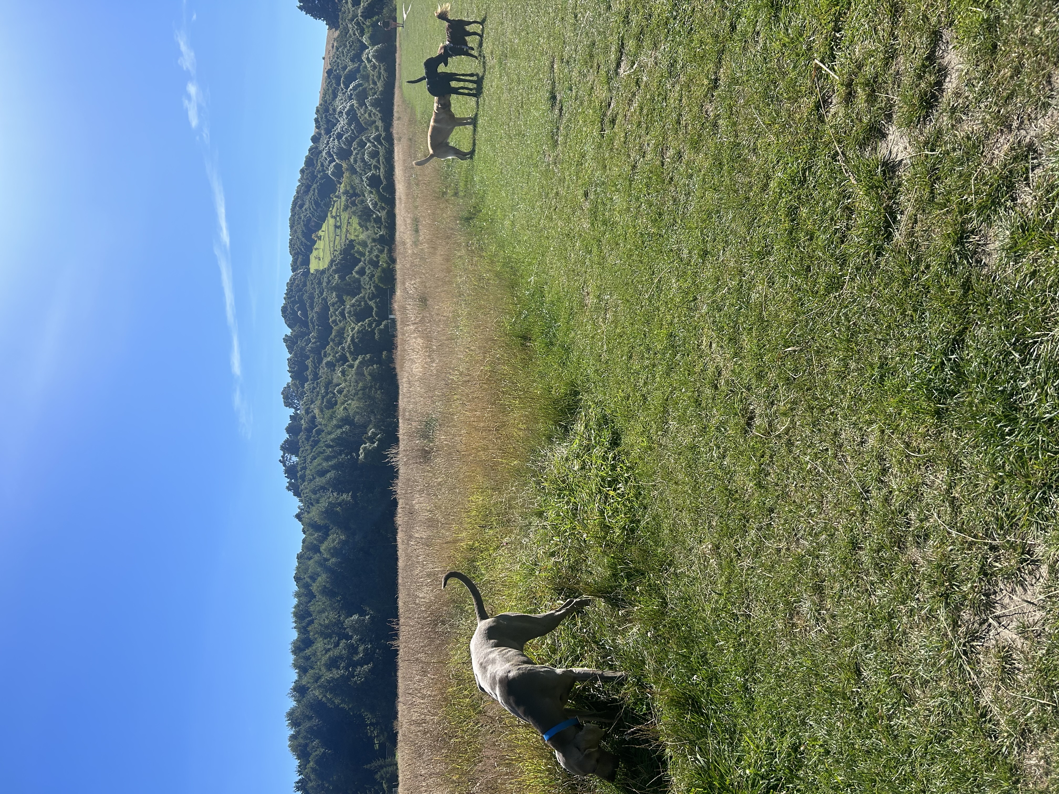 image-14