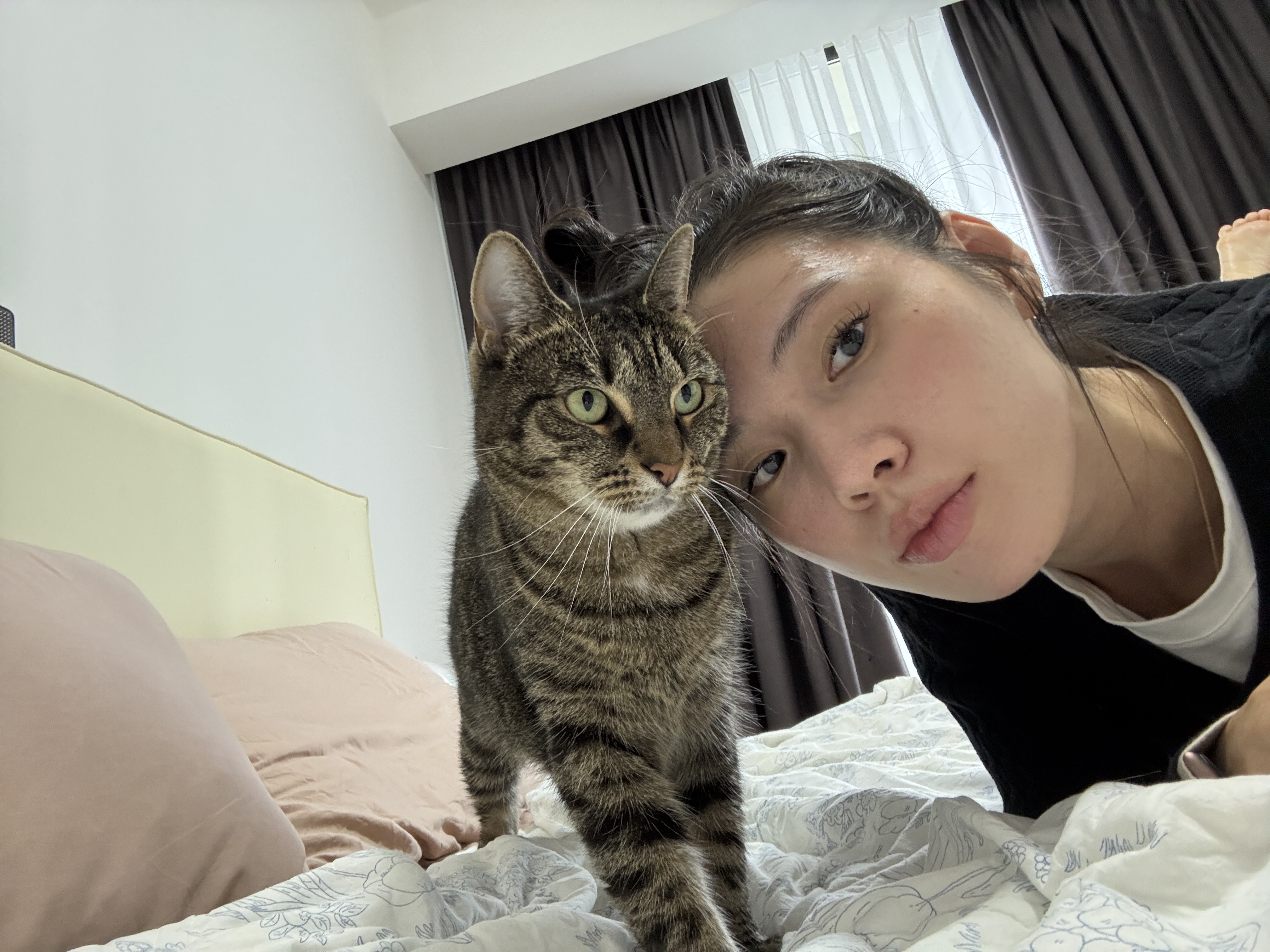 image-6