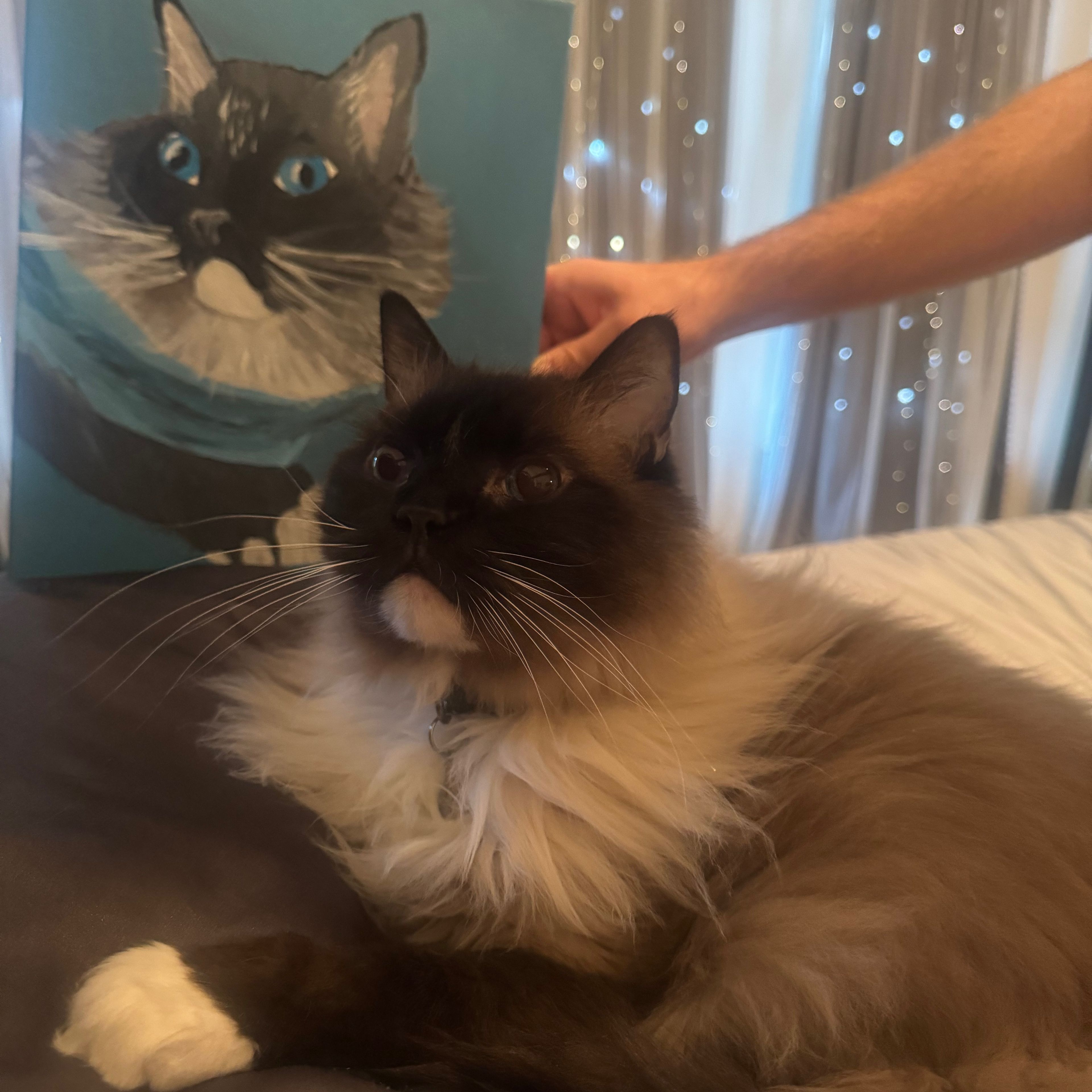 Kira