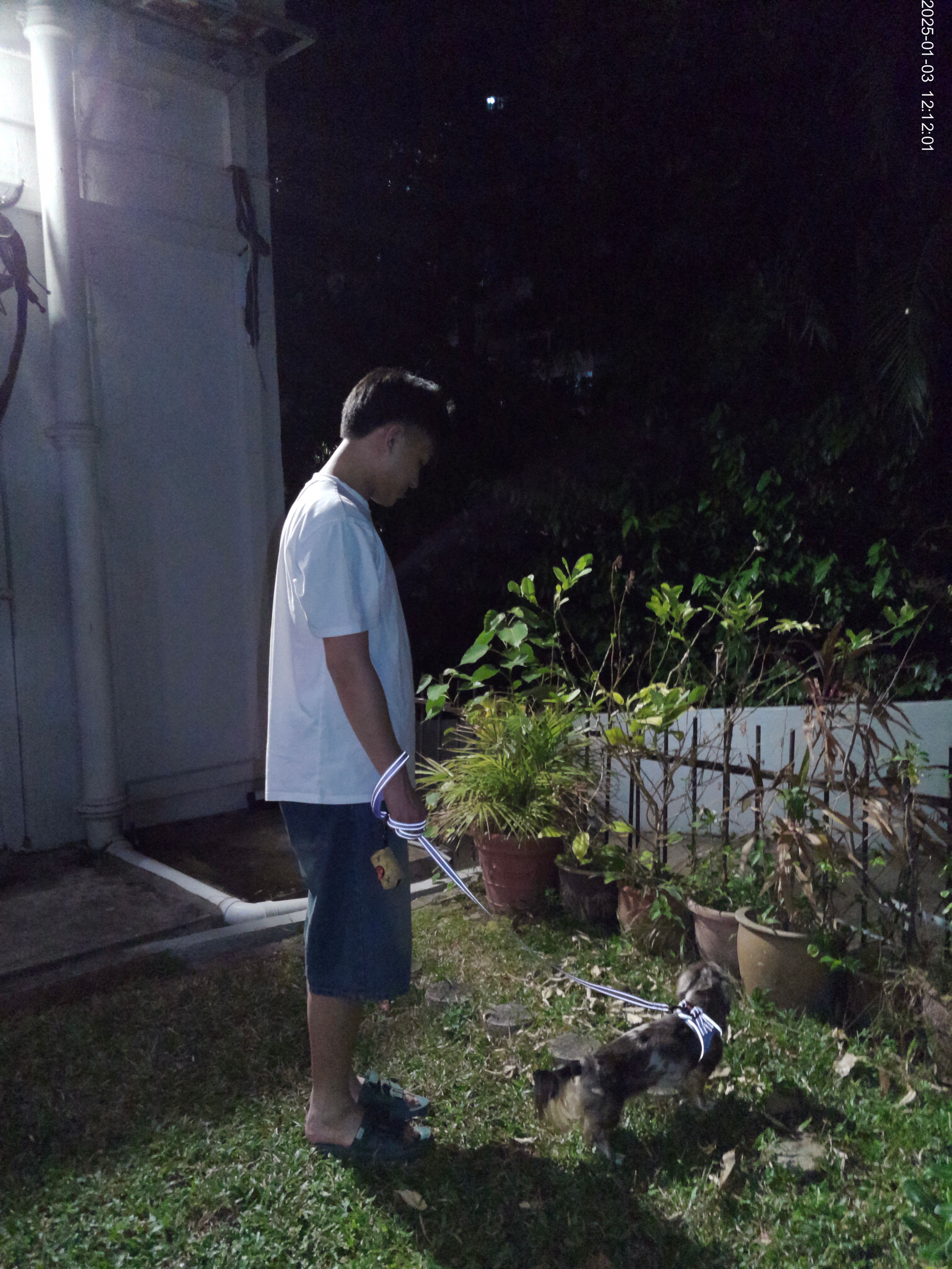 image-15