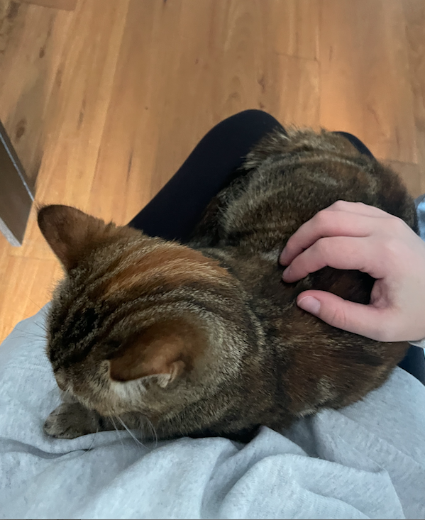 image-6