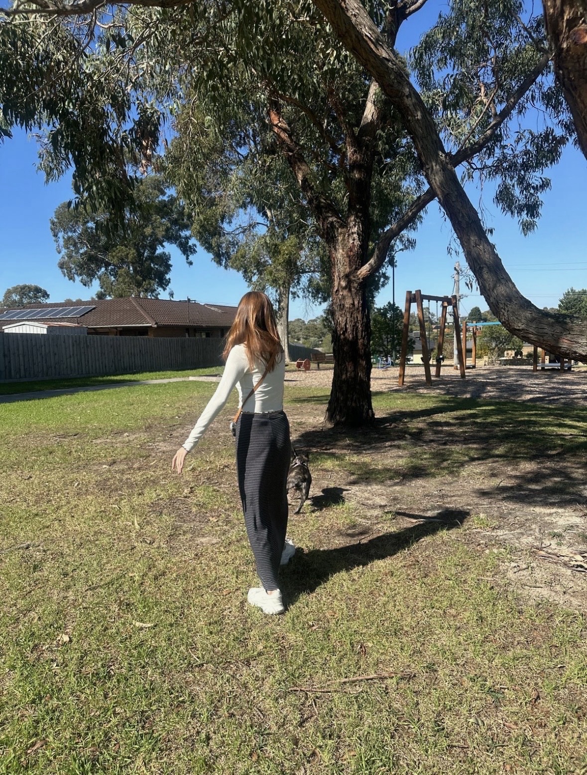 image-13