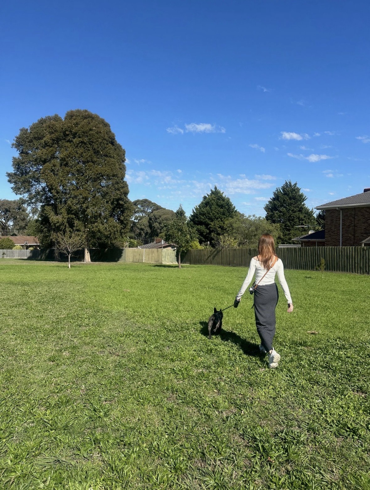 image-14