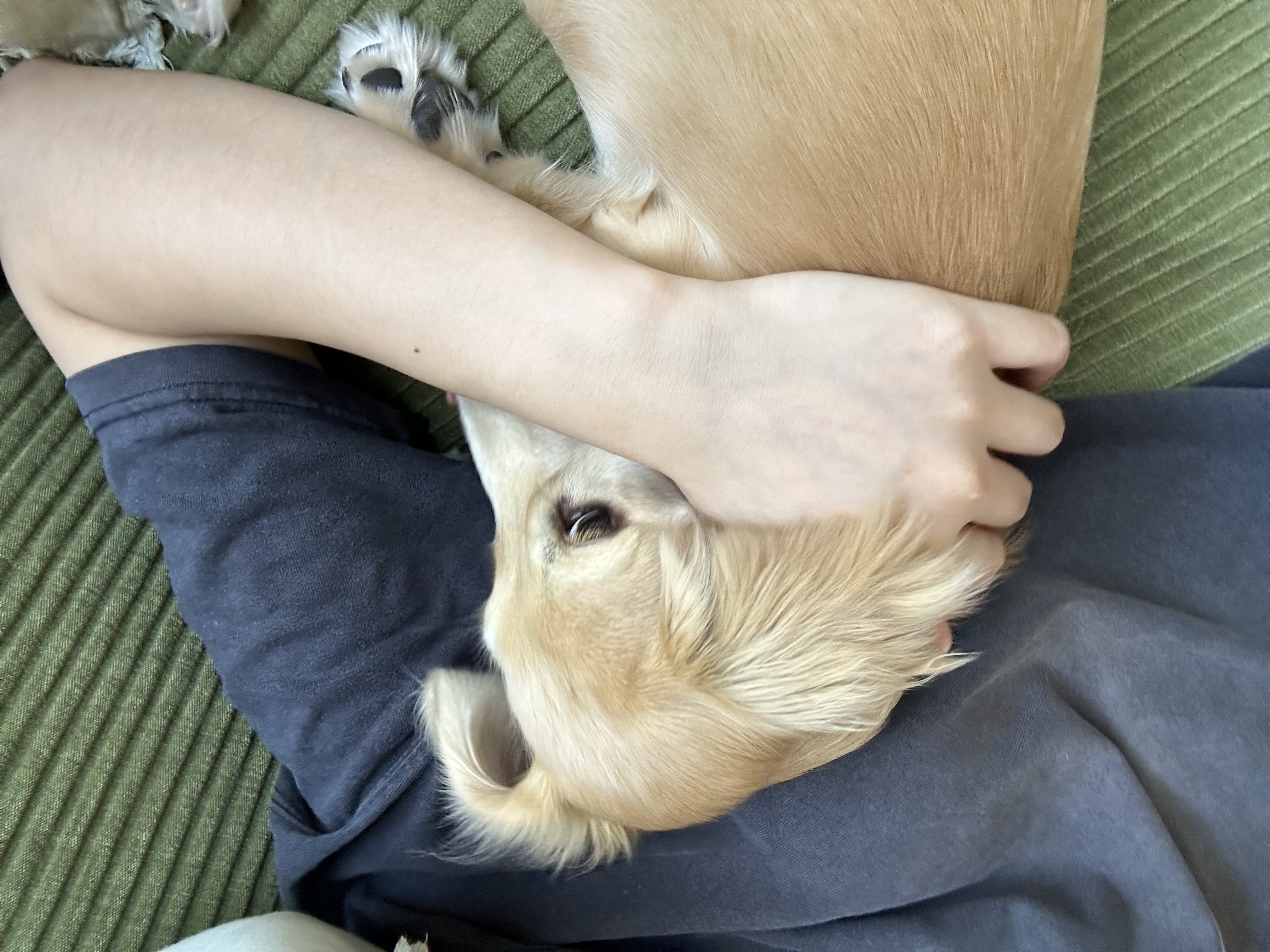 image-7