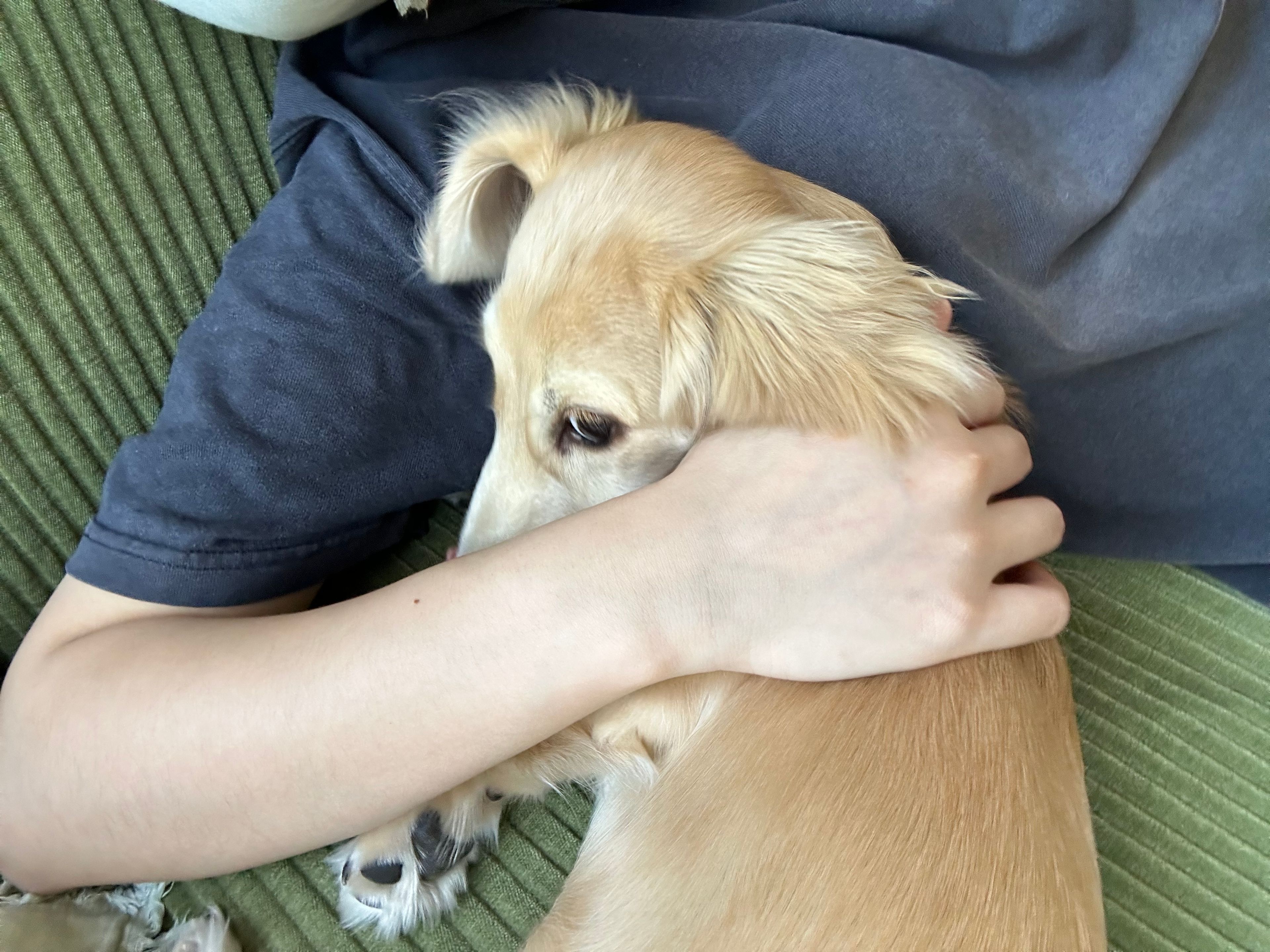 image-7