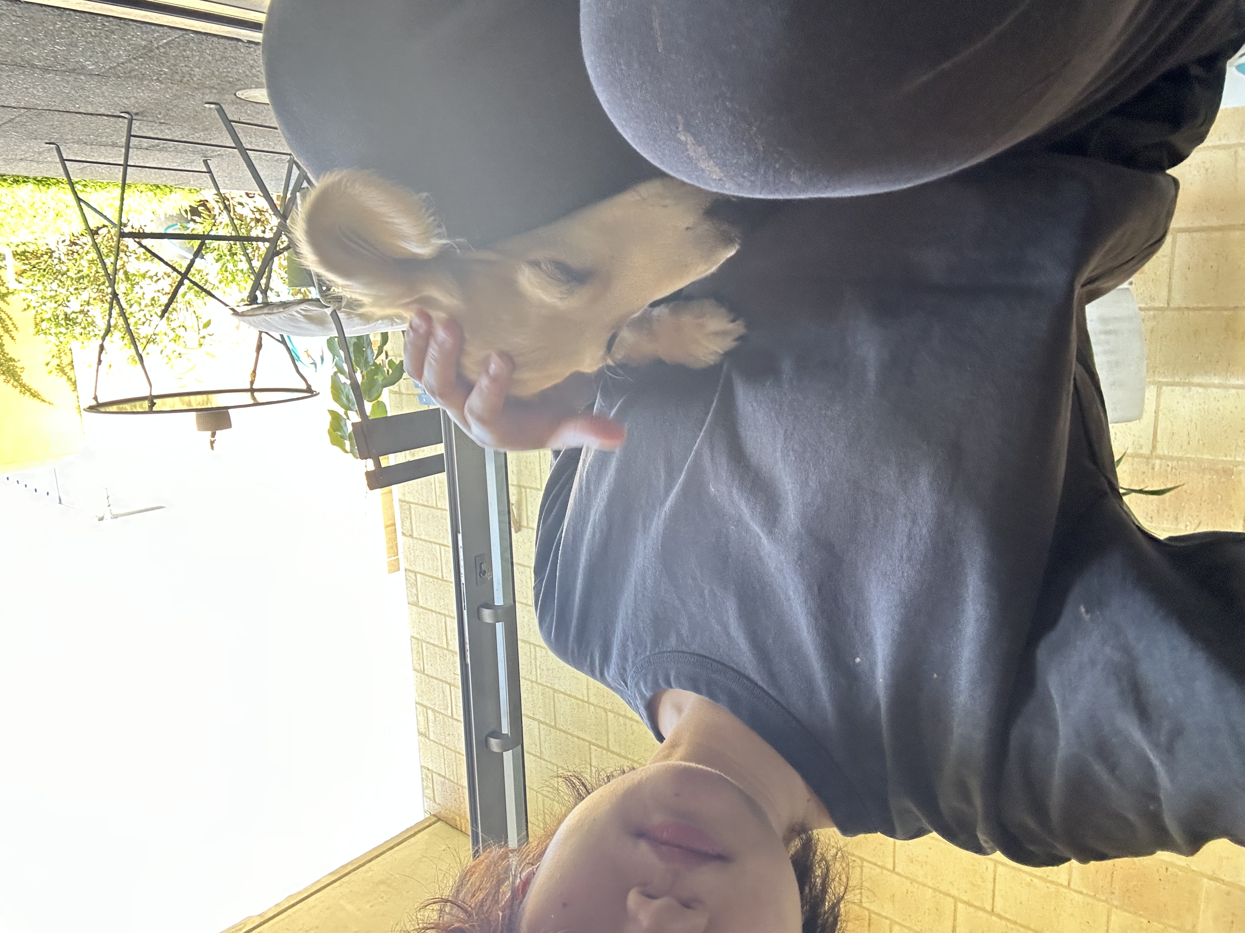 image-12