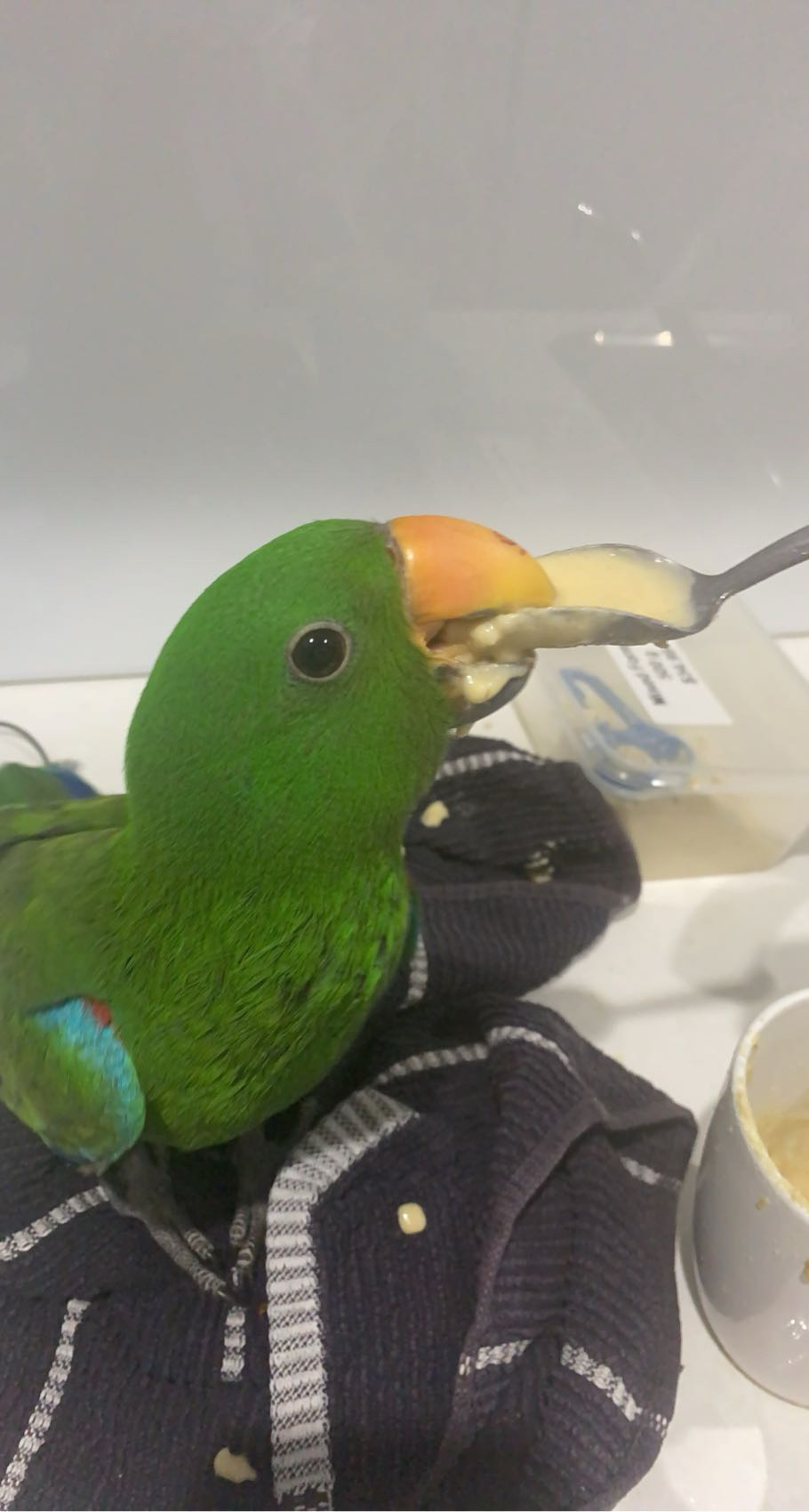 image-6
