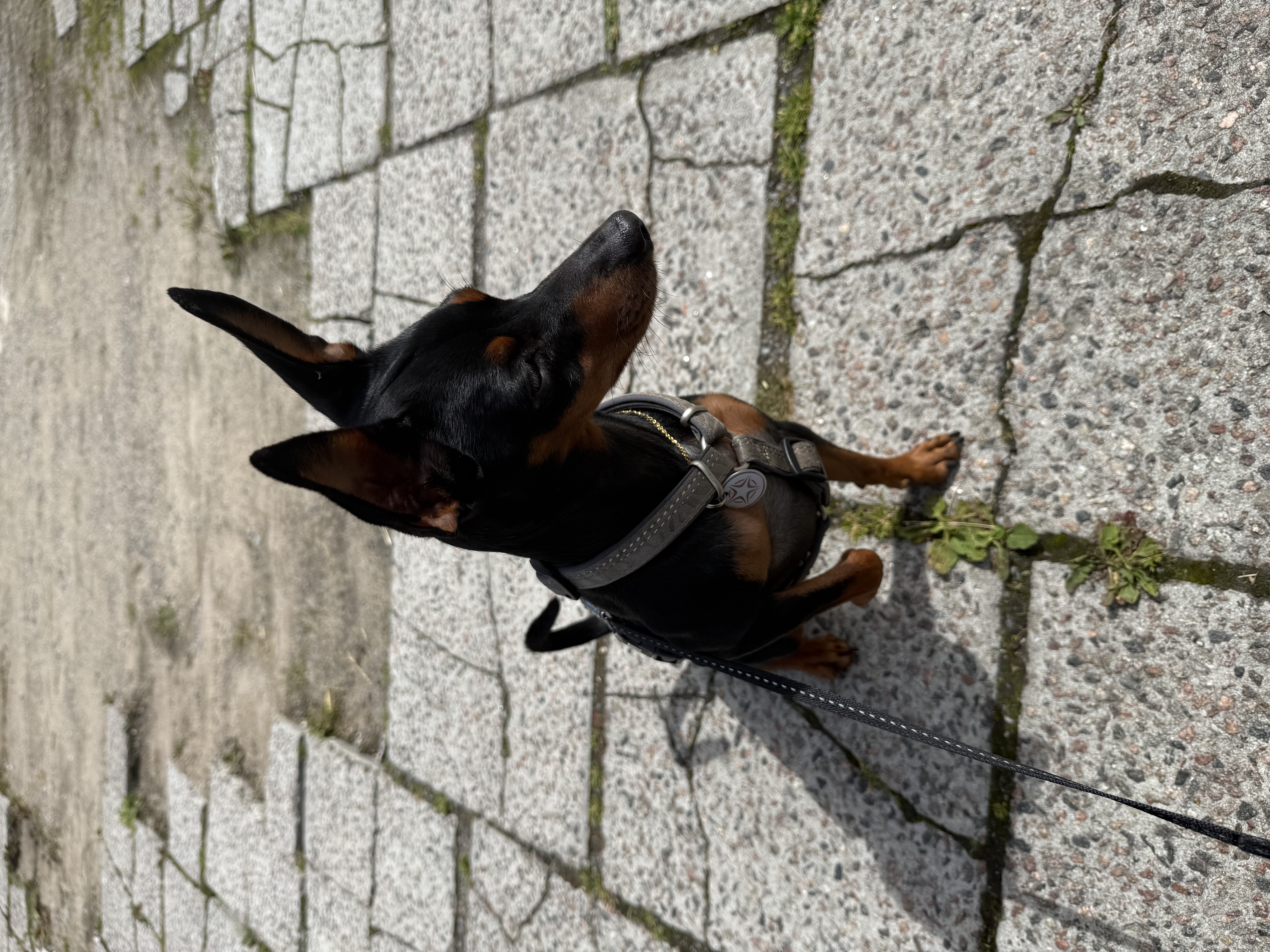 image-6
